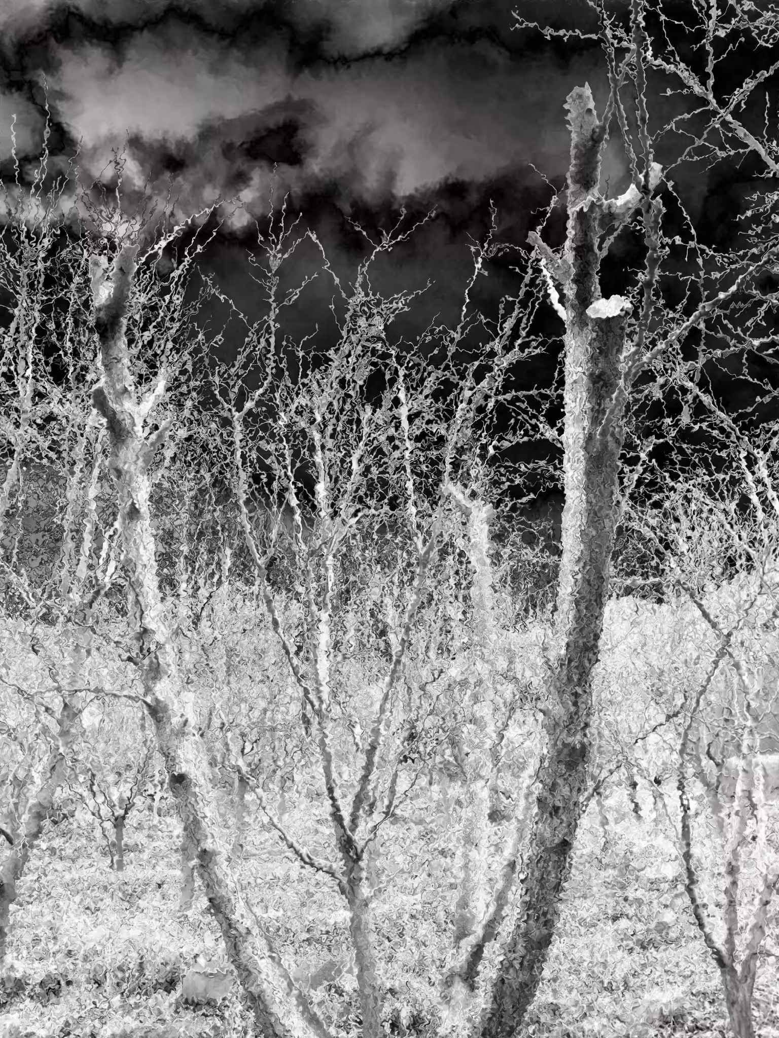 Revolution of Branches