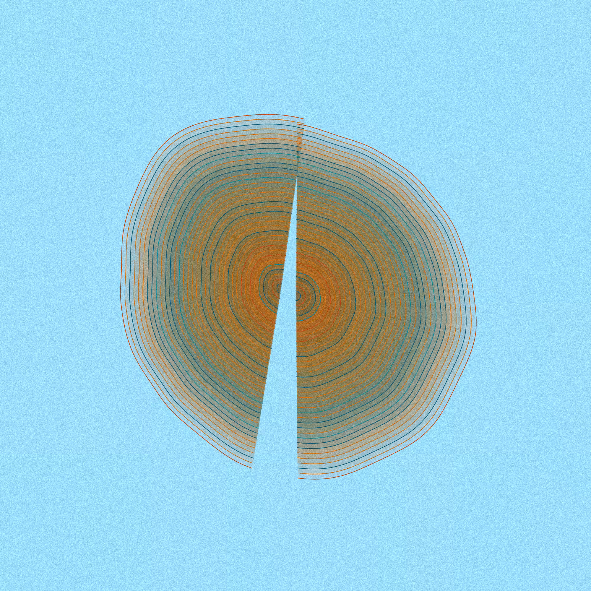 Hashed Onions #32