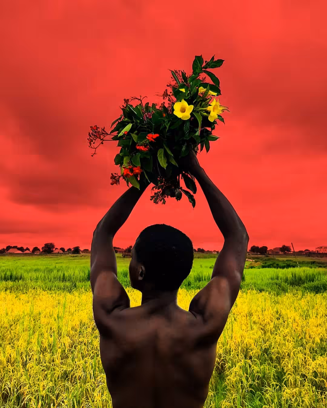 Bring me flowers 