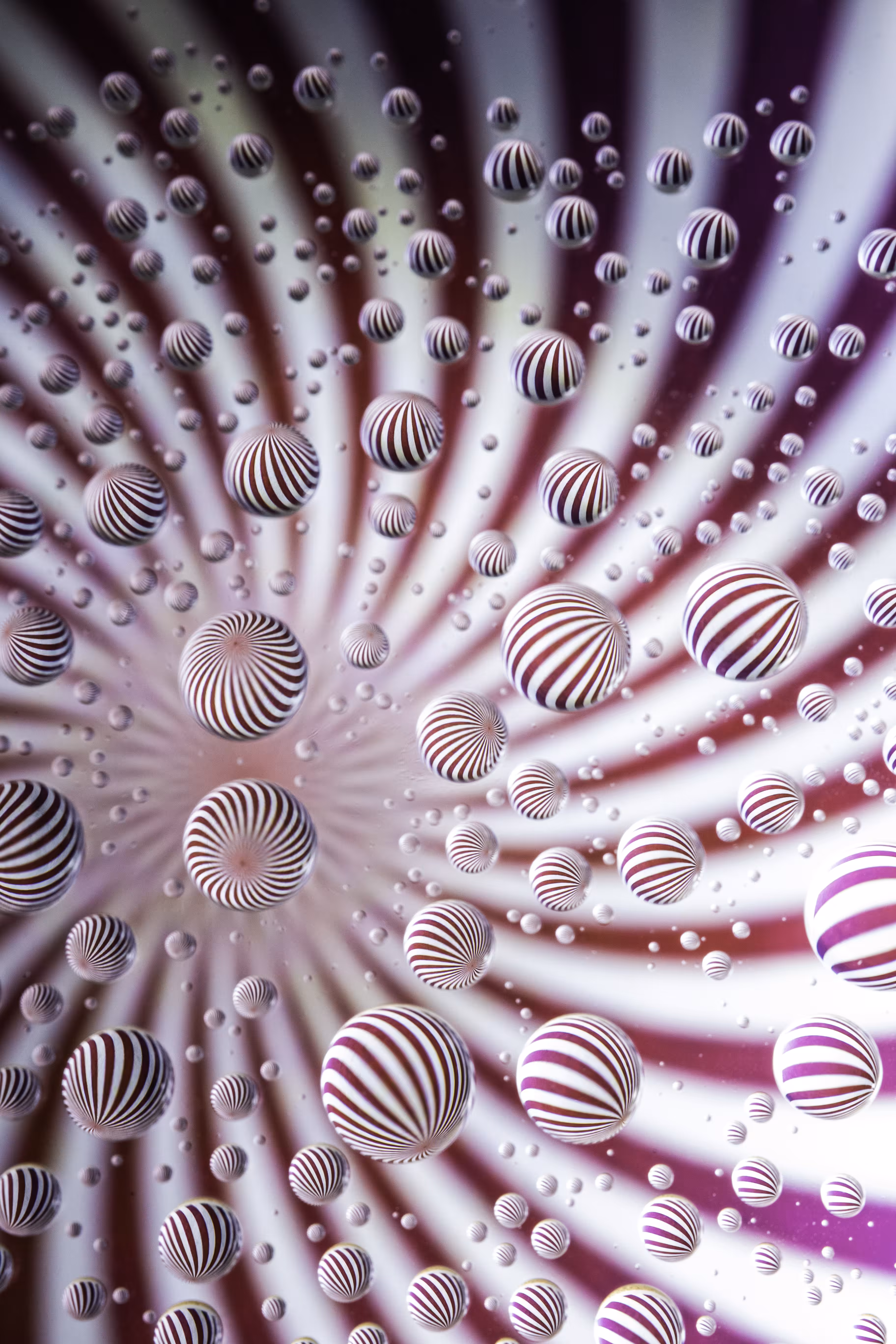 Candy Cane