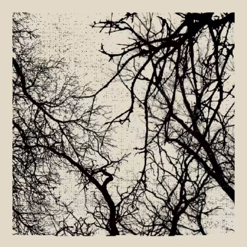 Forest of Shadows #53