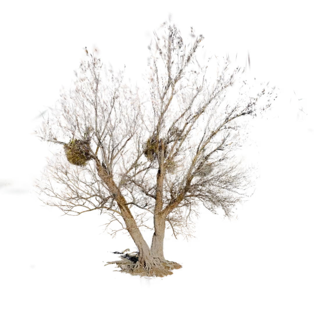 Synthetic Nature 21