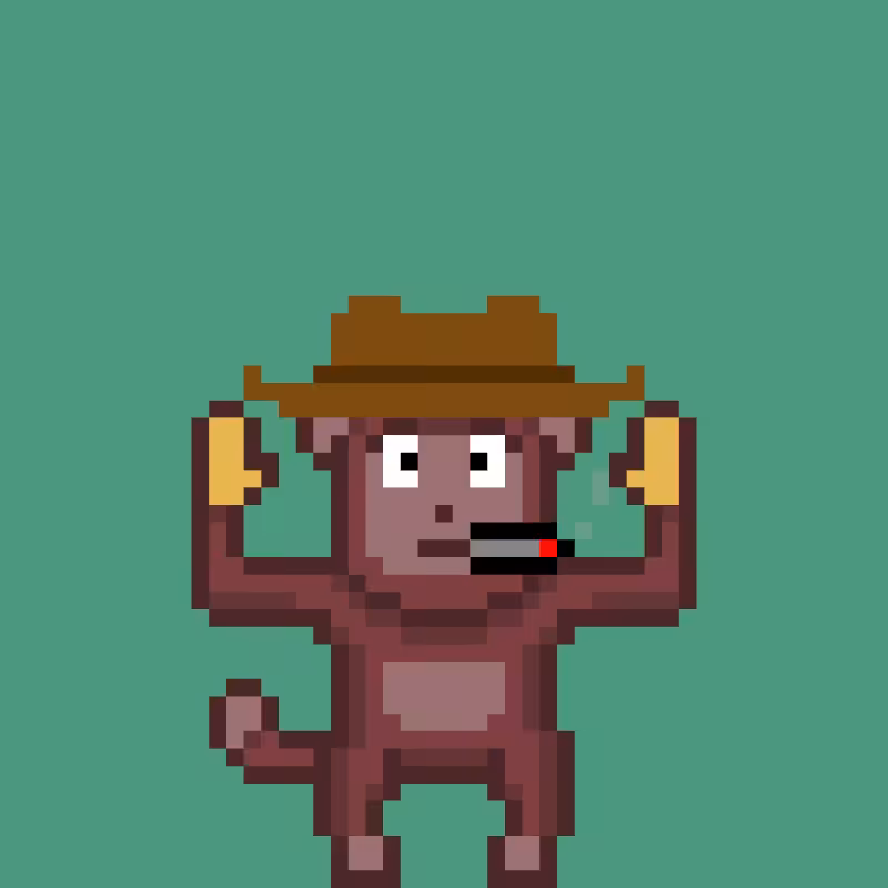 fxMonkeys #26