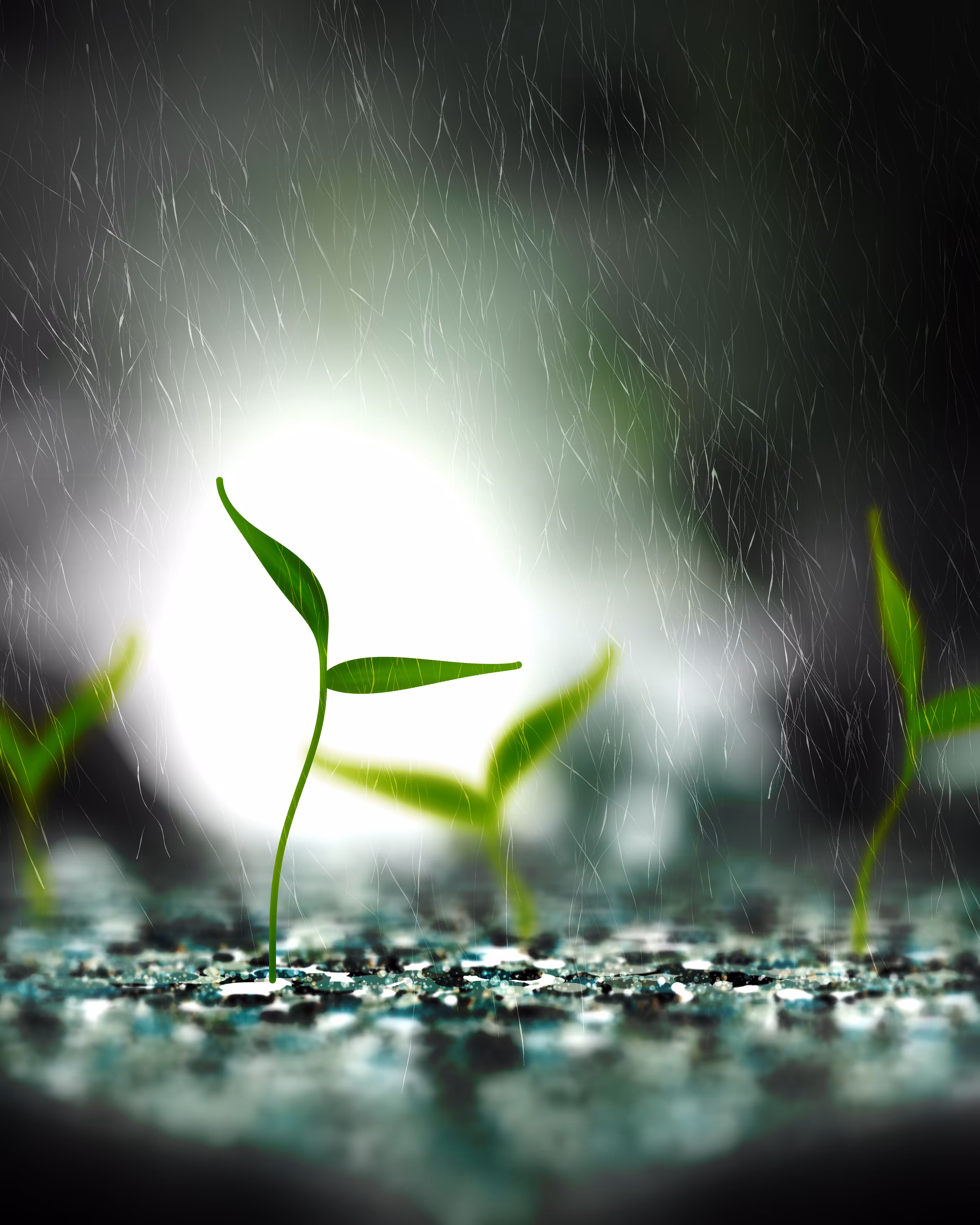 Take Root #1