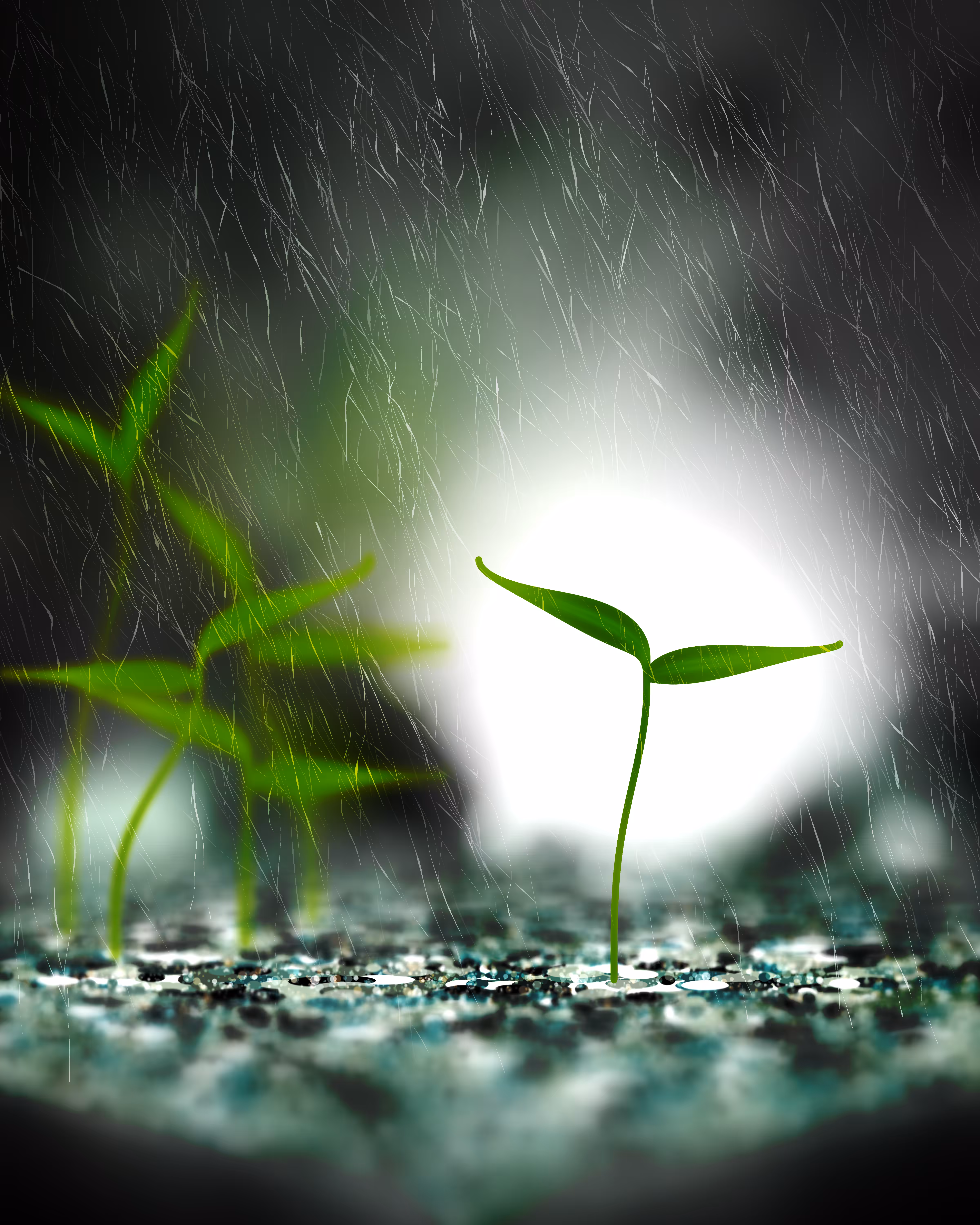 Take Root #3