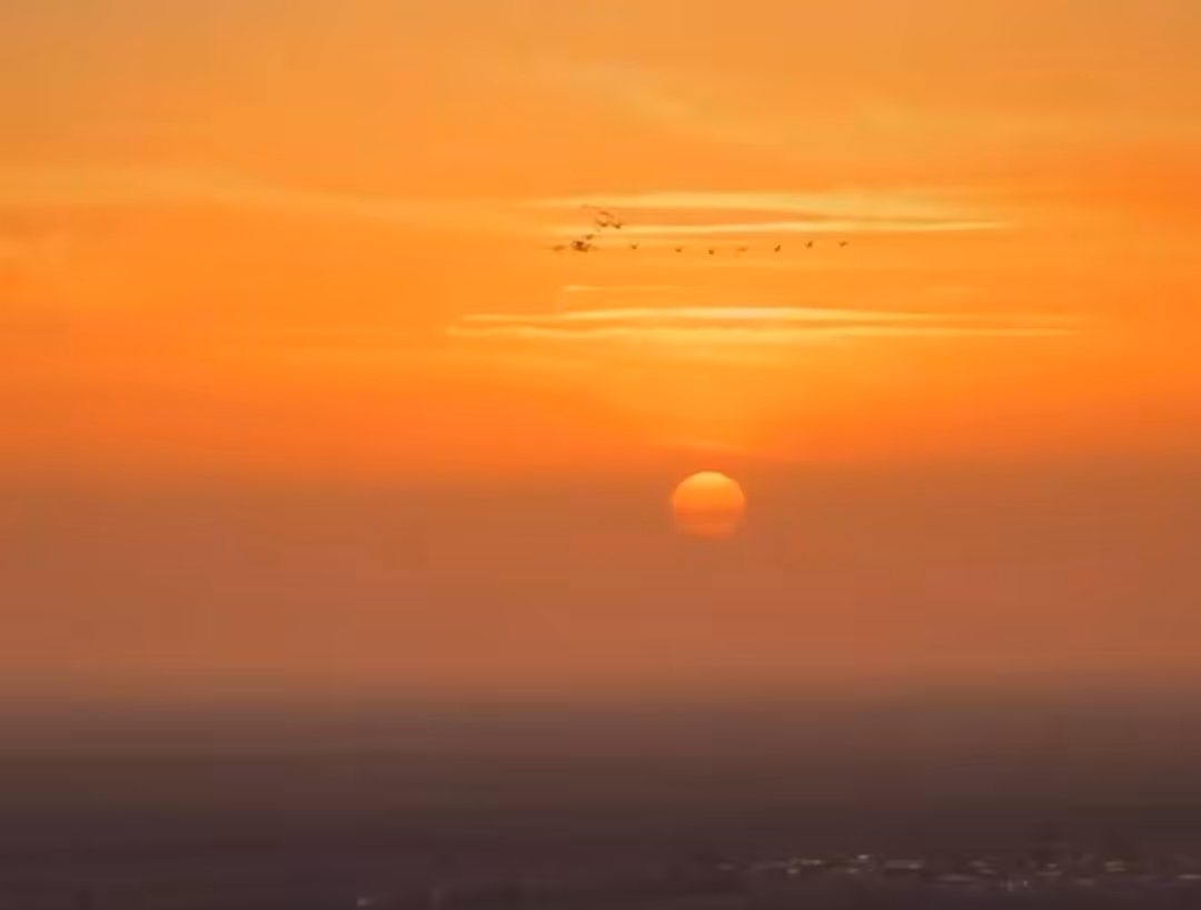 Sunset