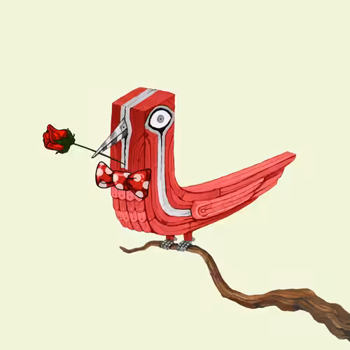 Bolbol, The Bird 096