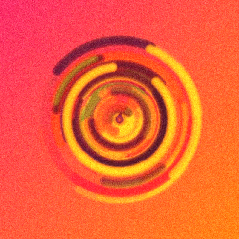 Wisp #968