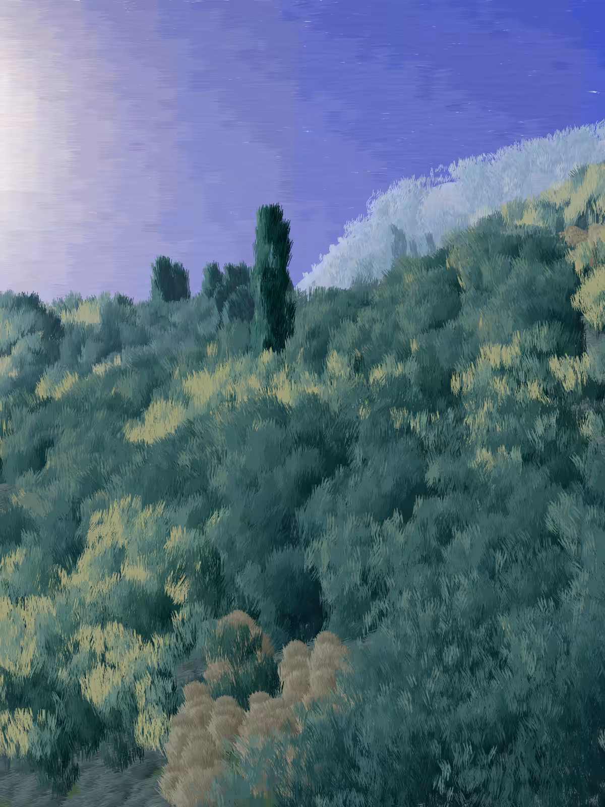Provence #336