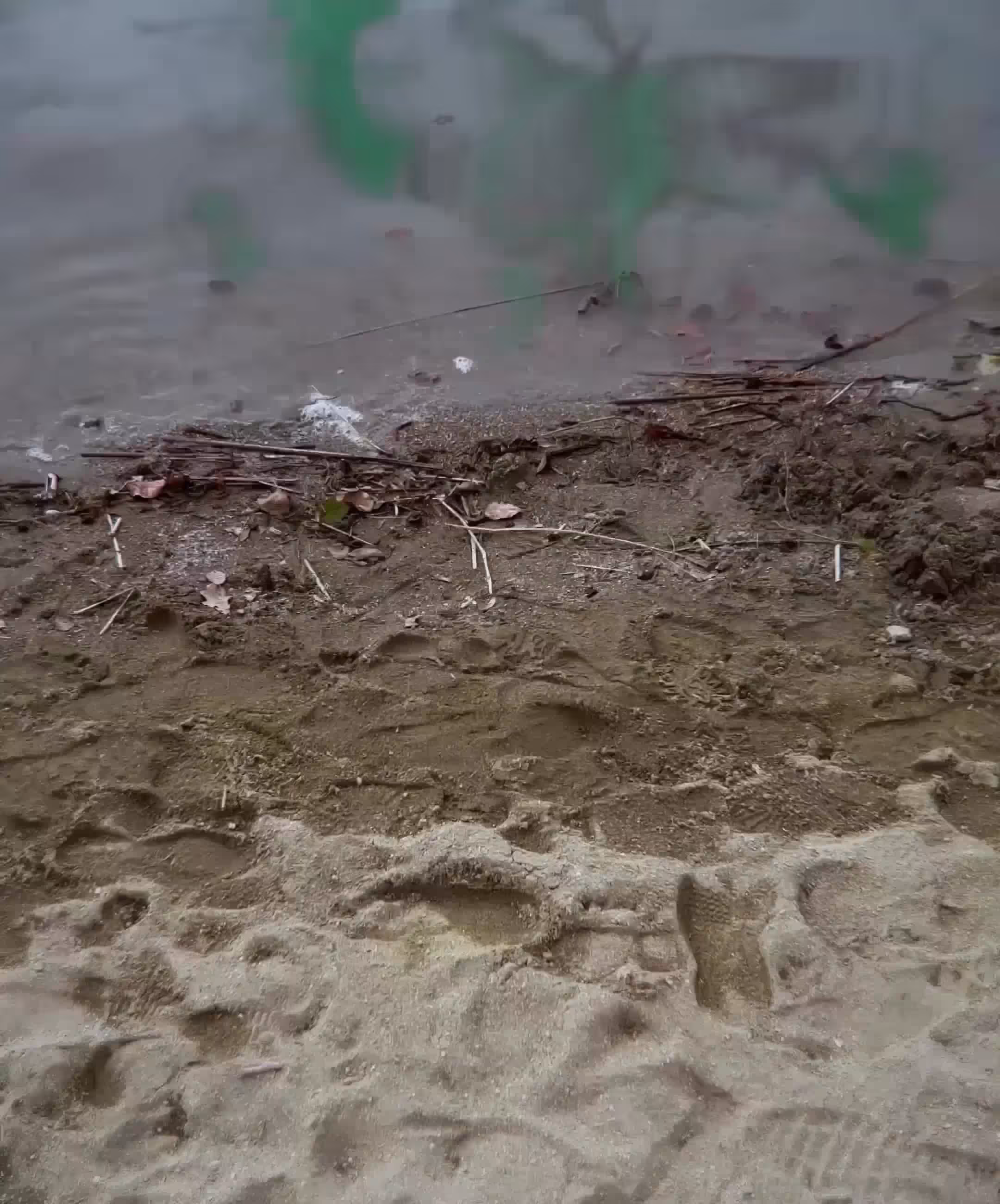 Water #2/4