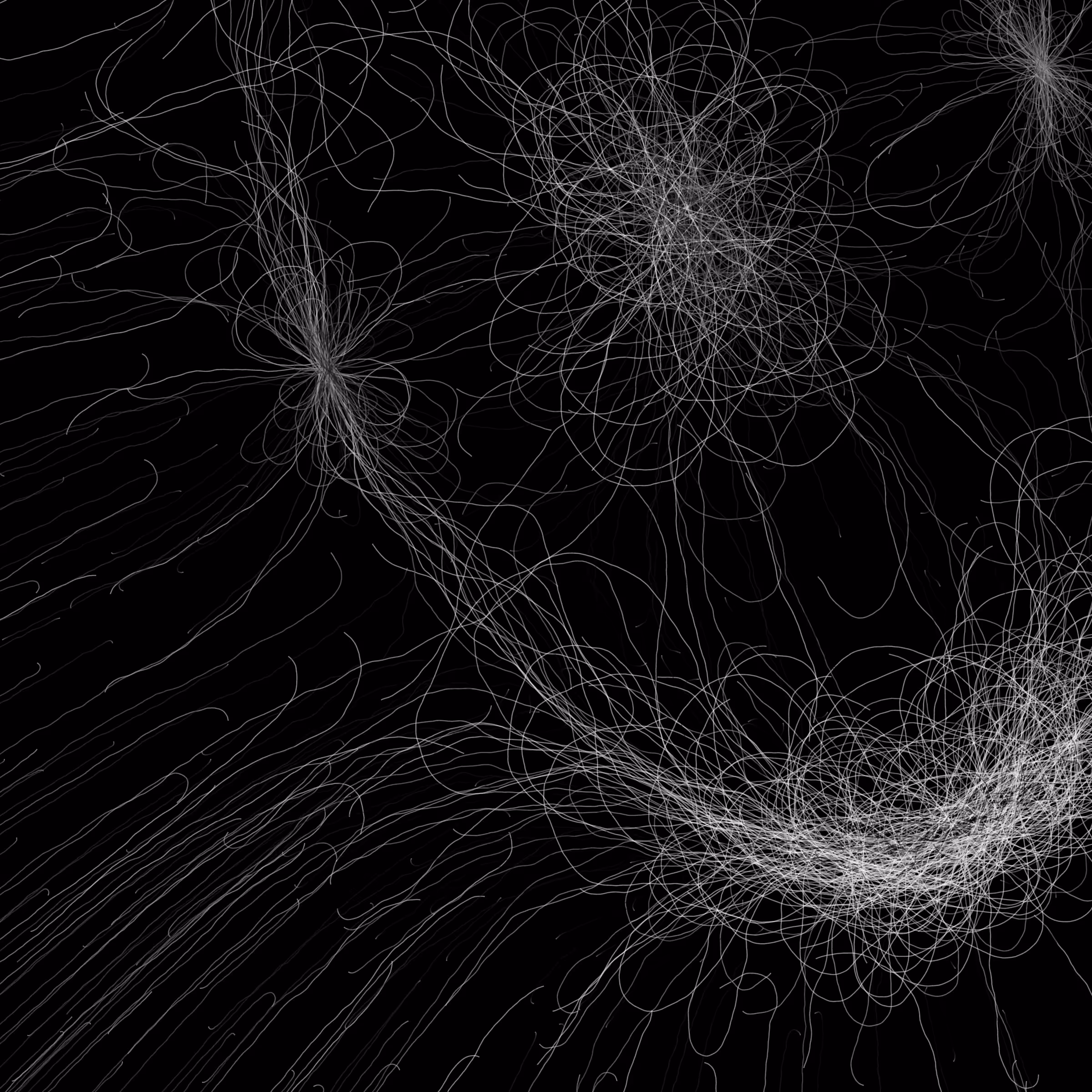 Phototaxis #655