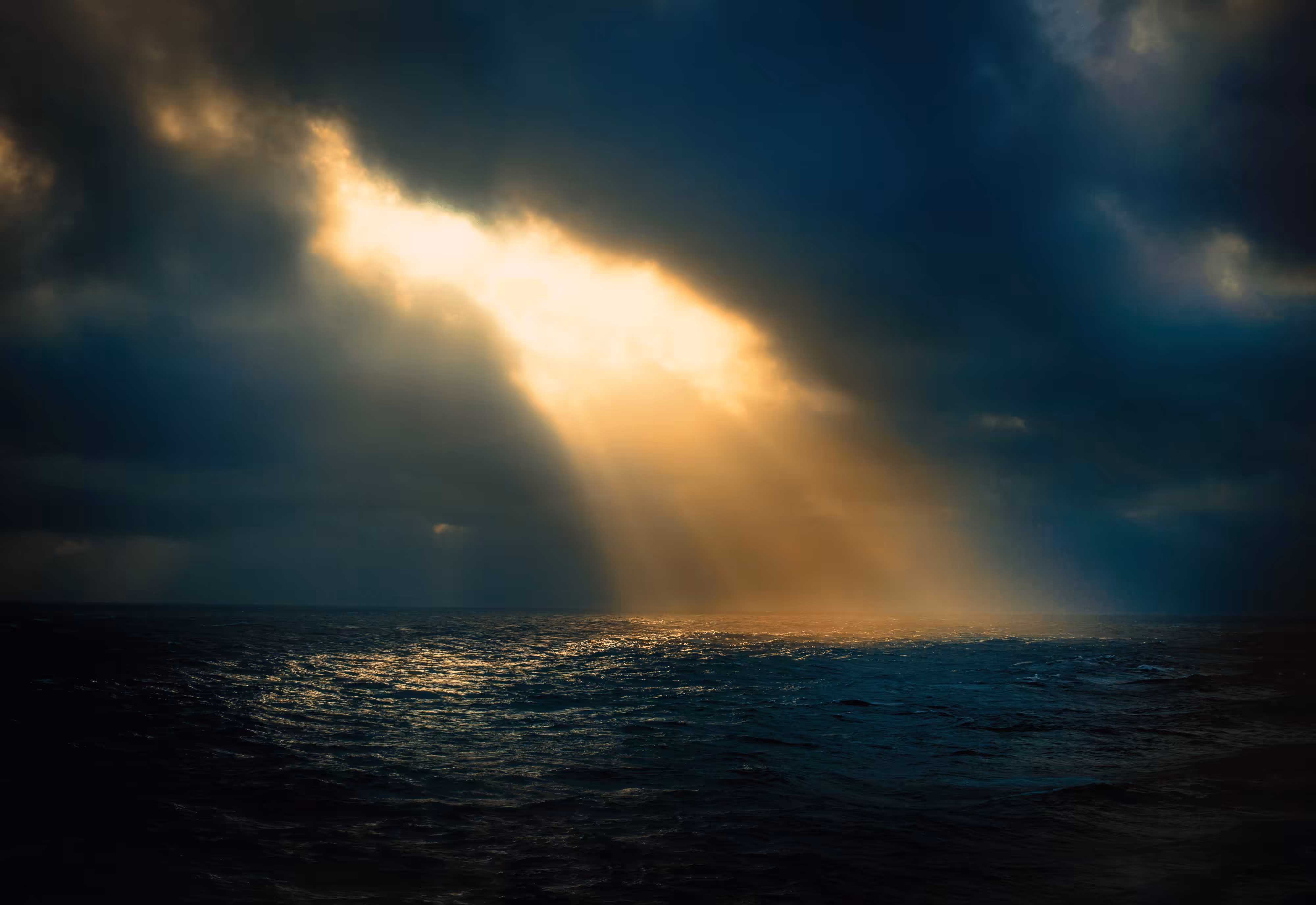 Sun Shower