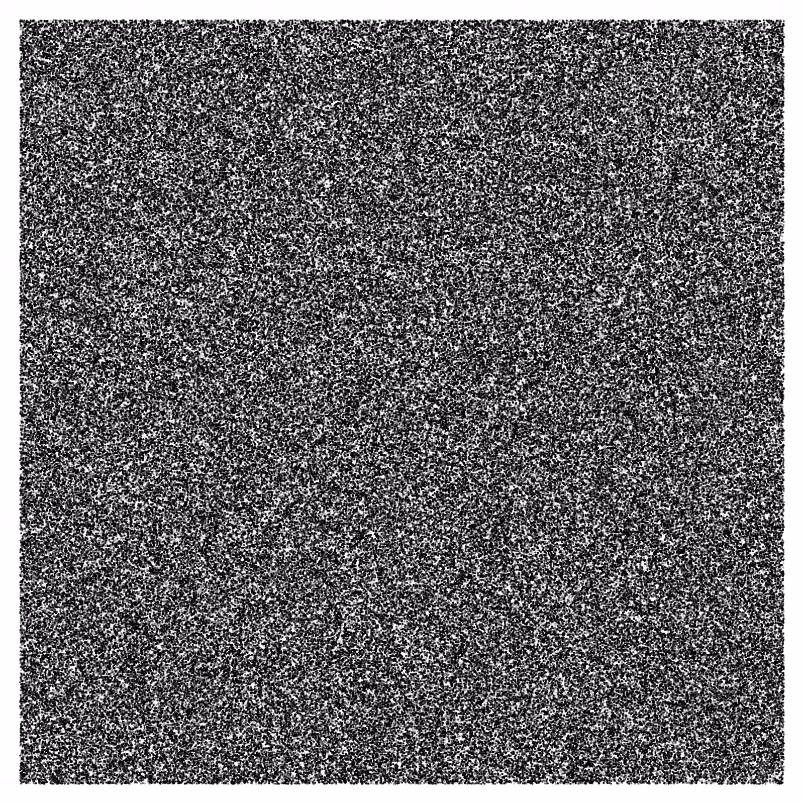 Noise #15