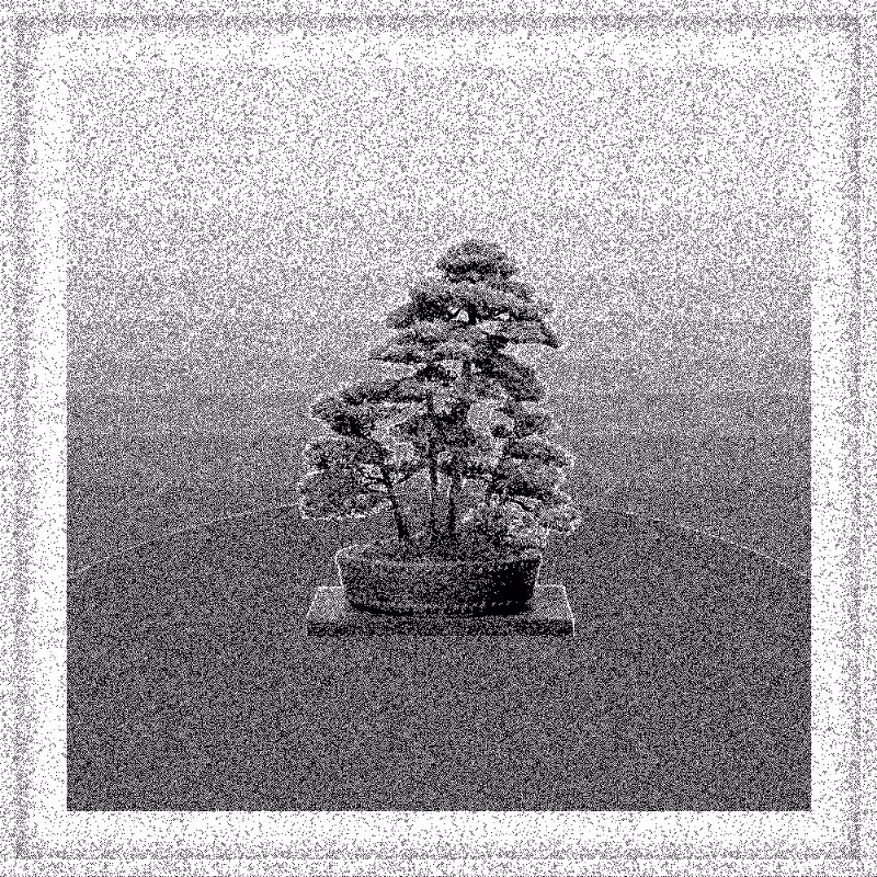 Bonsai Bonanza #59