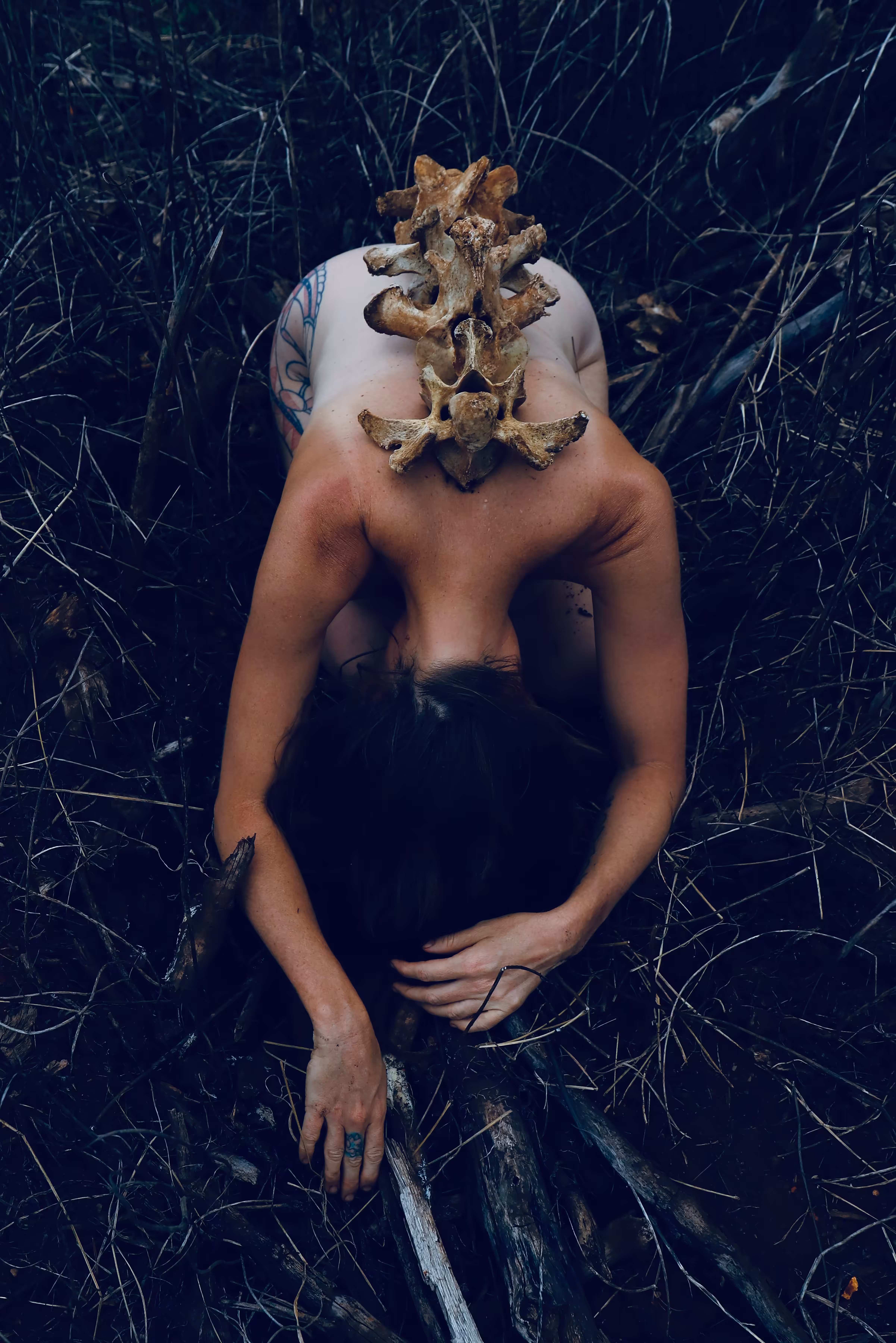 Spine