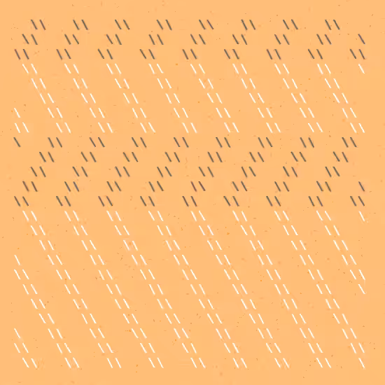 /--/--/ #33