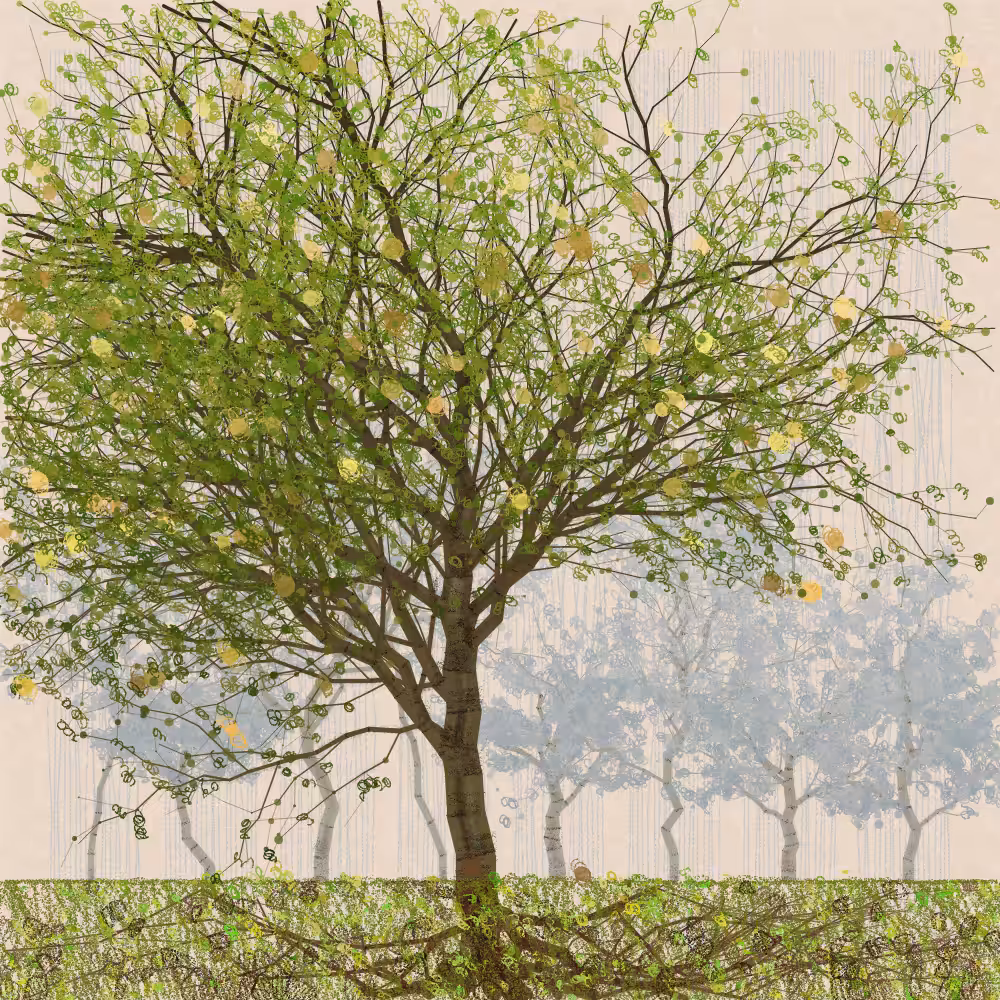 Orchard #327