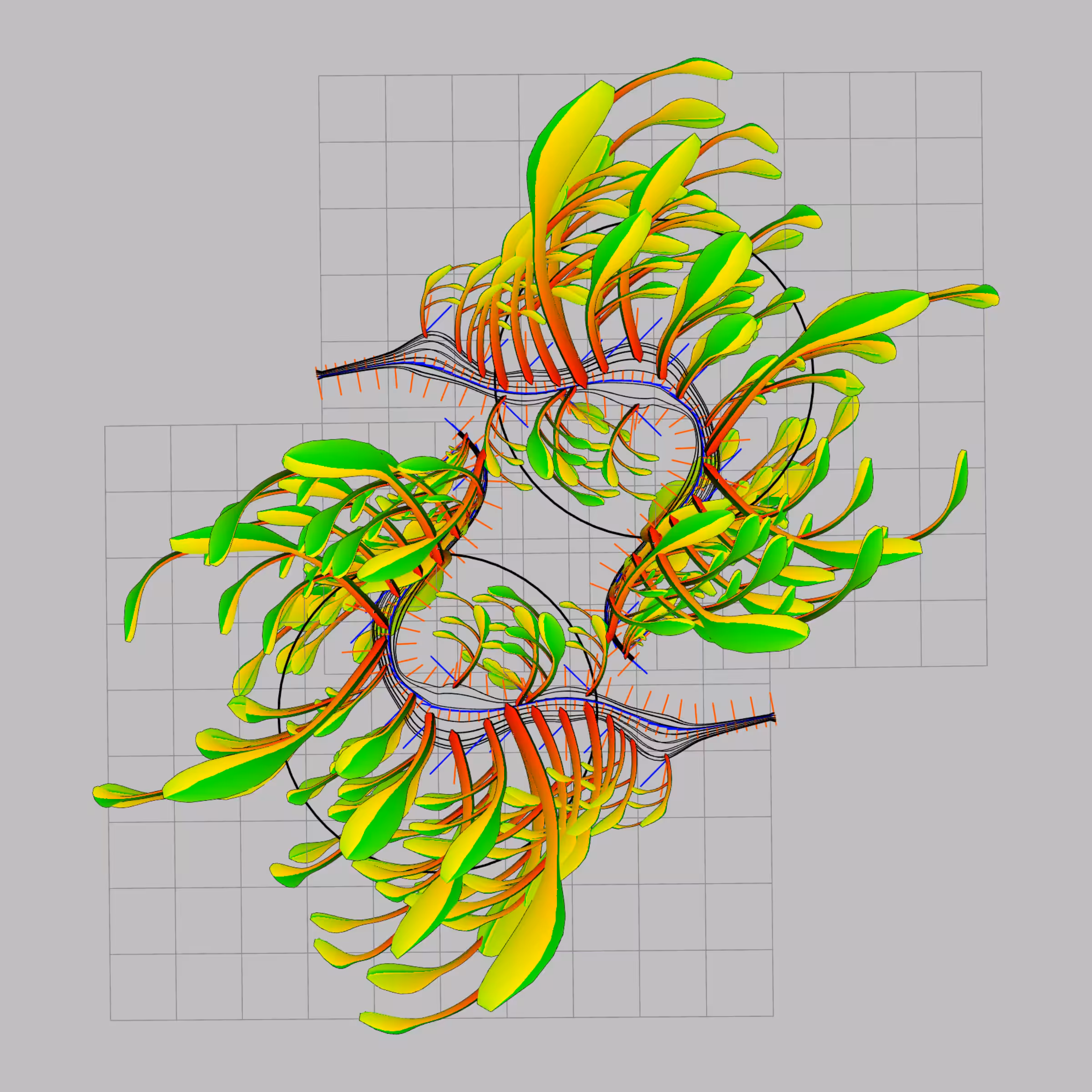 Seadragons #913