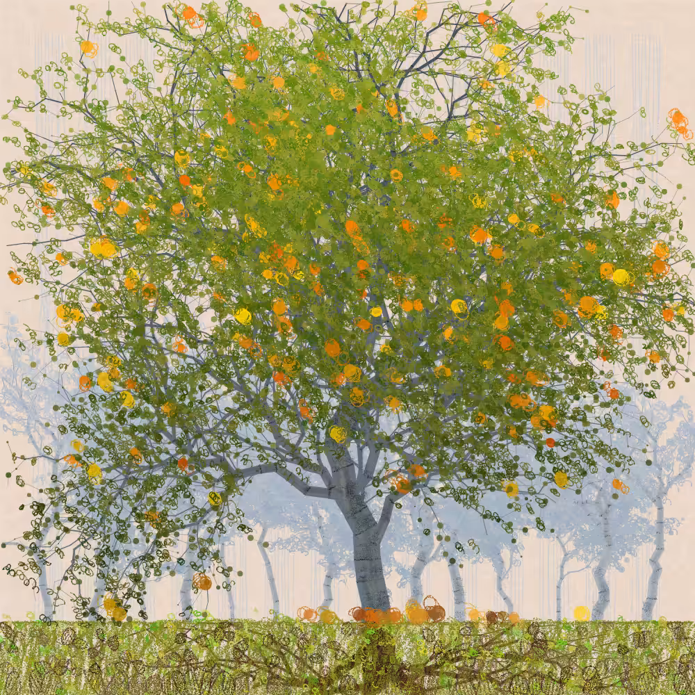 Orchard #308