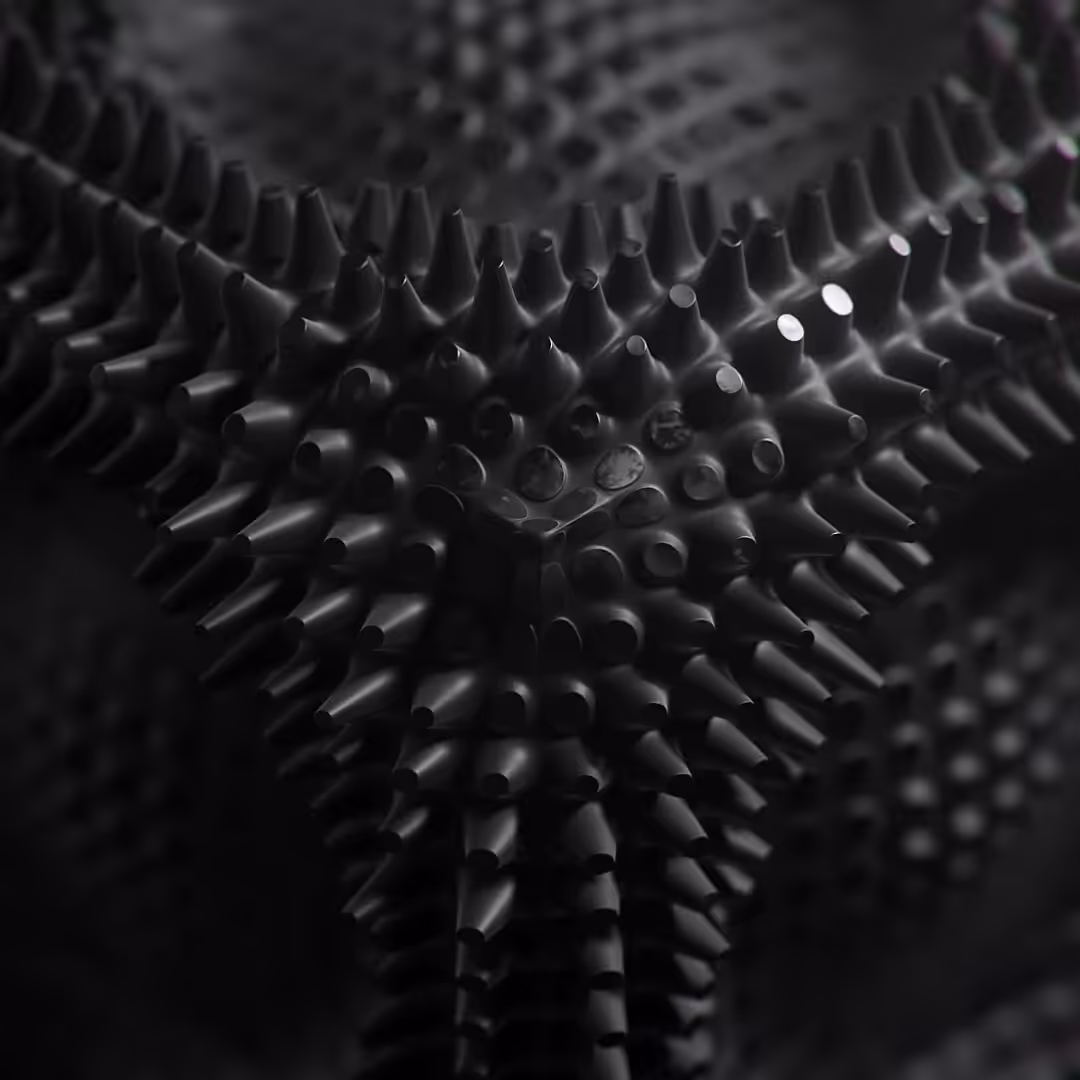 Metaphase