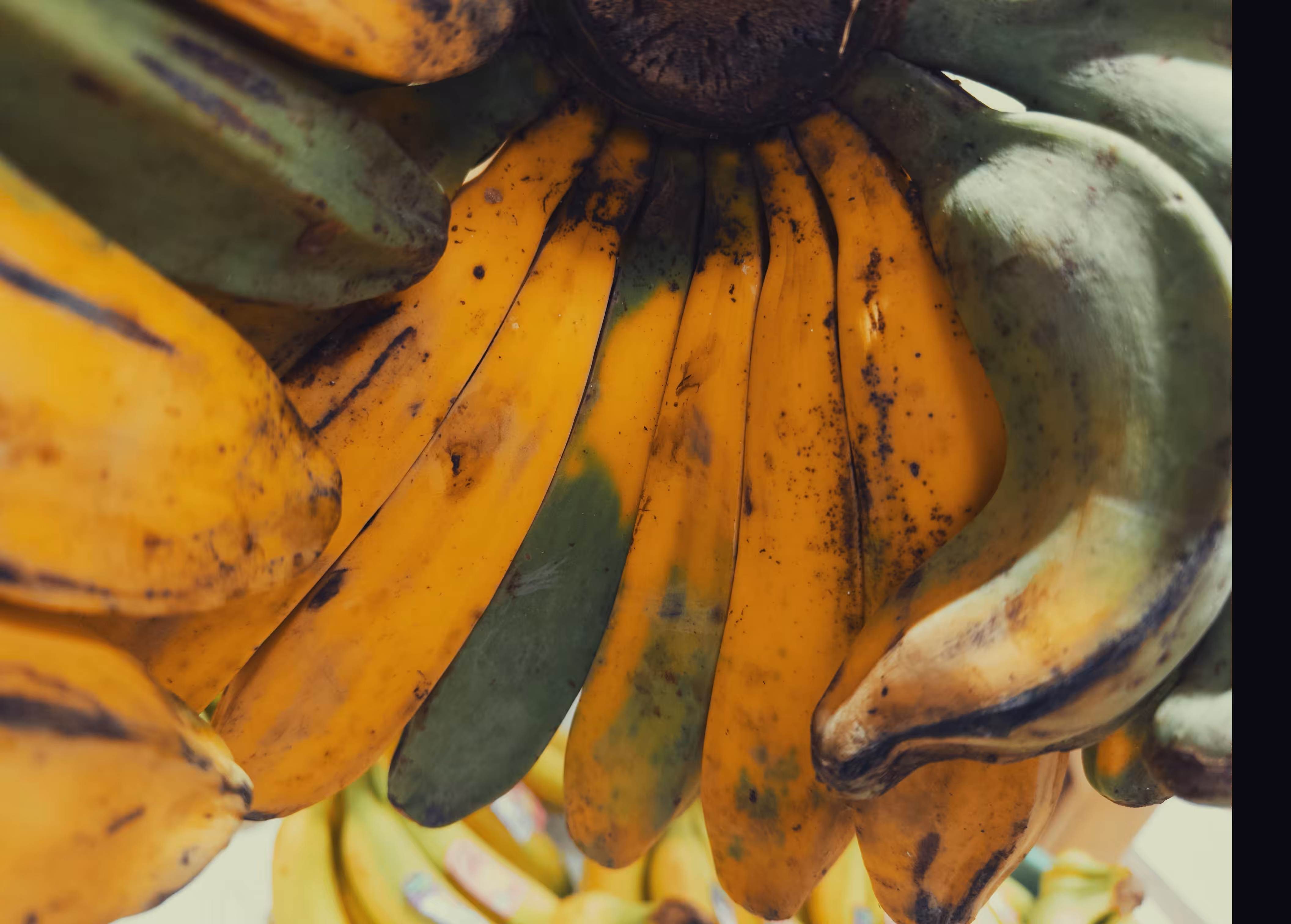 🍌