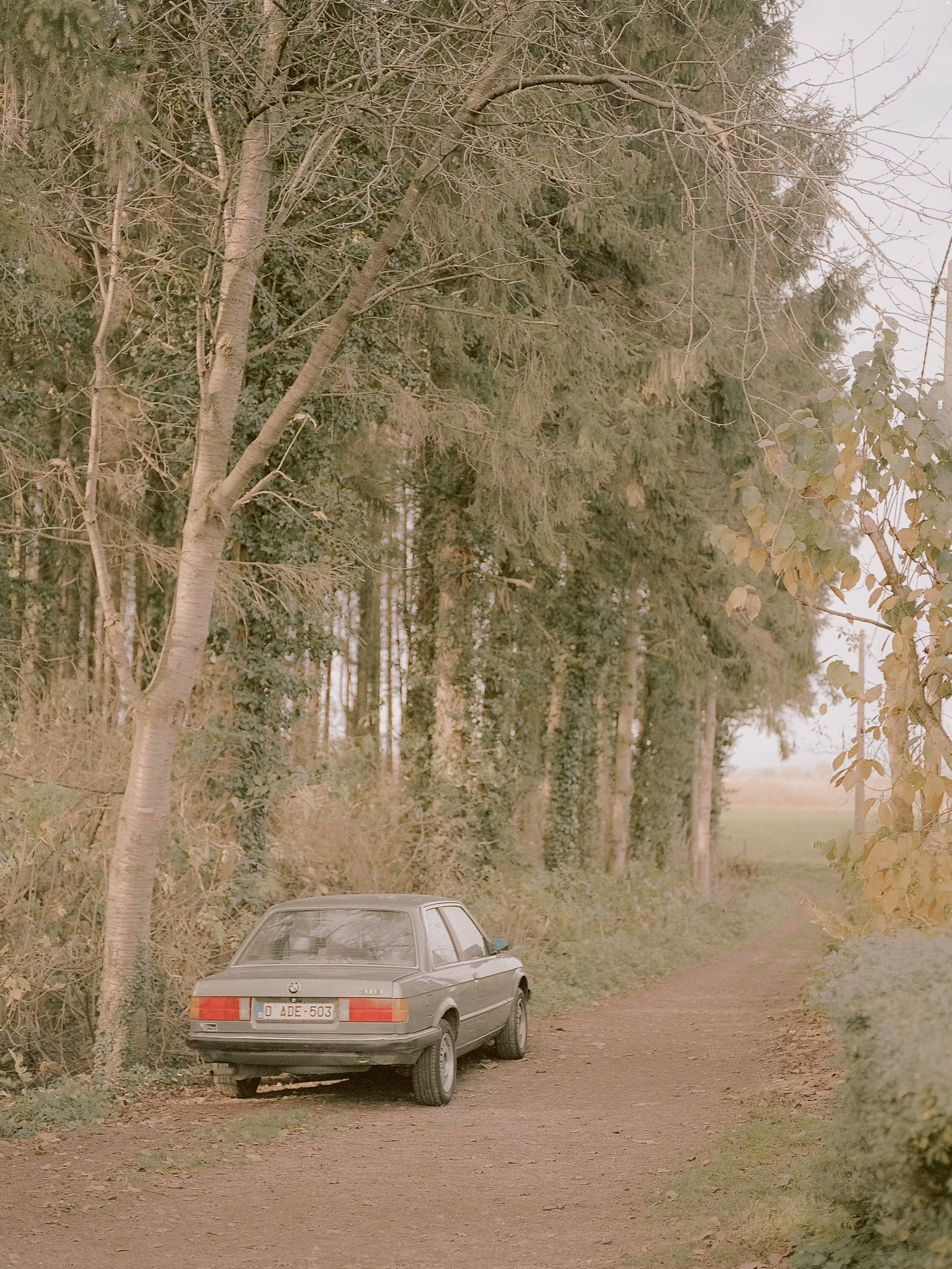 Parked in the woods