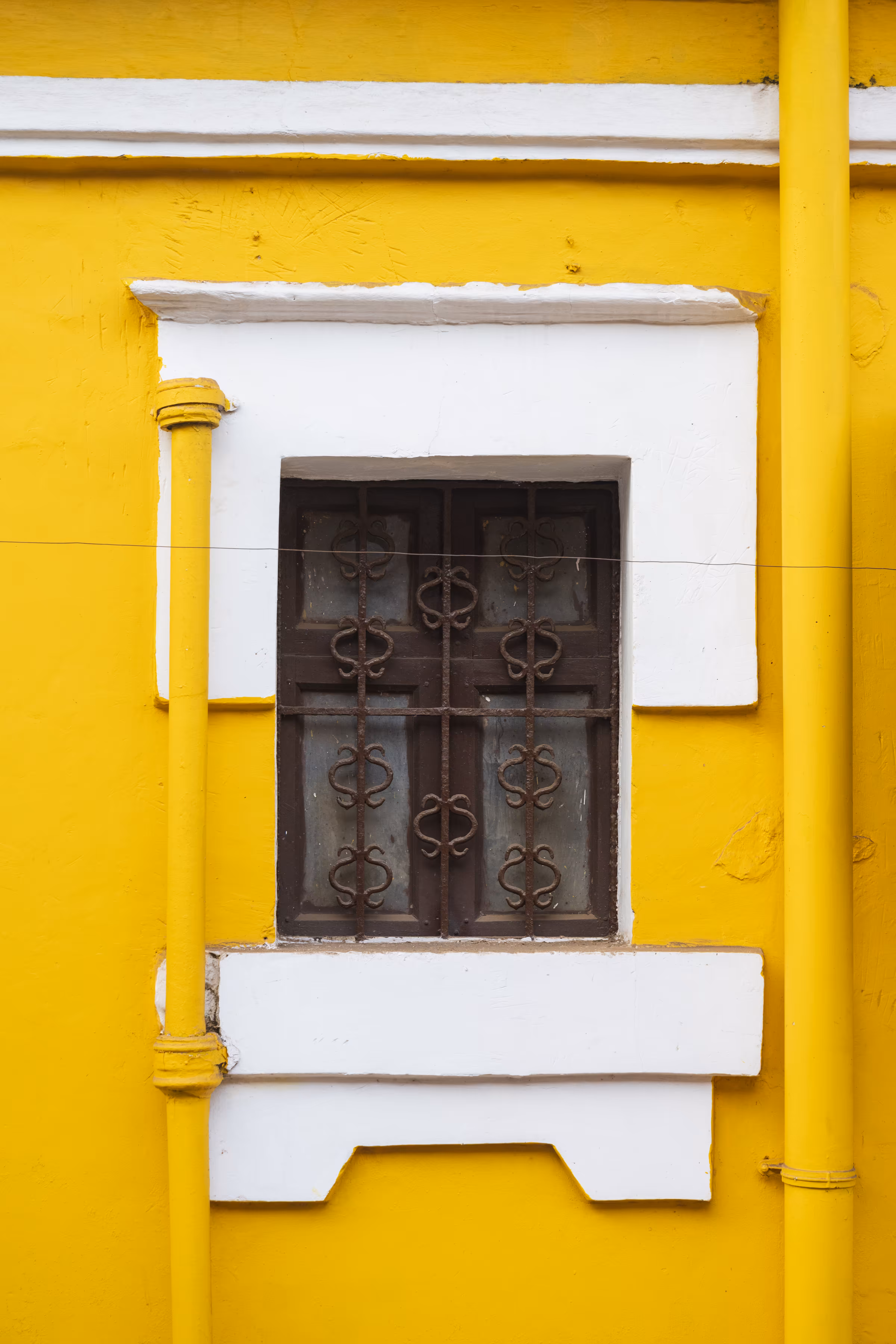 Yellow Spirit