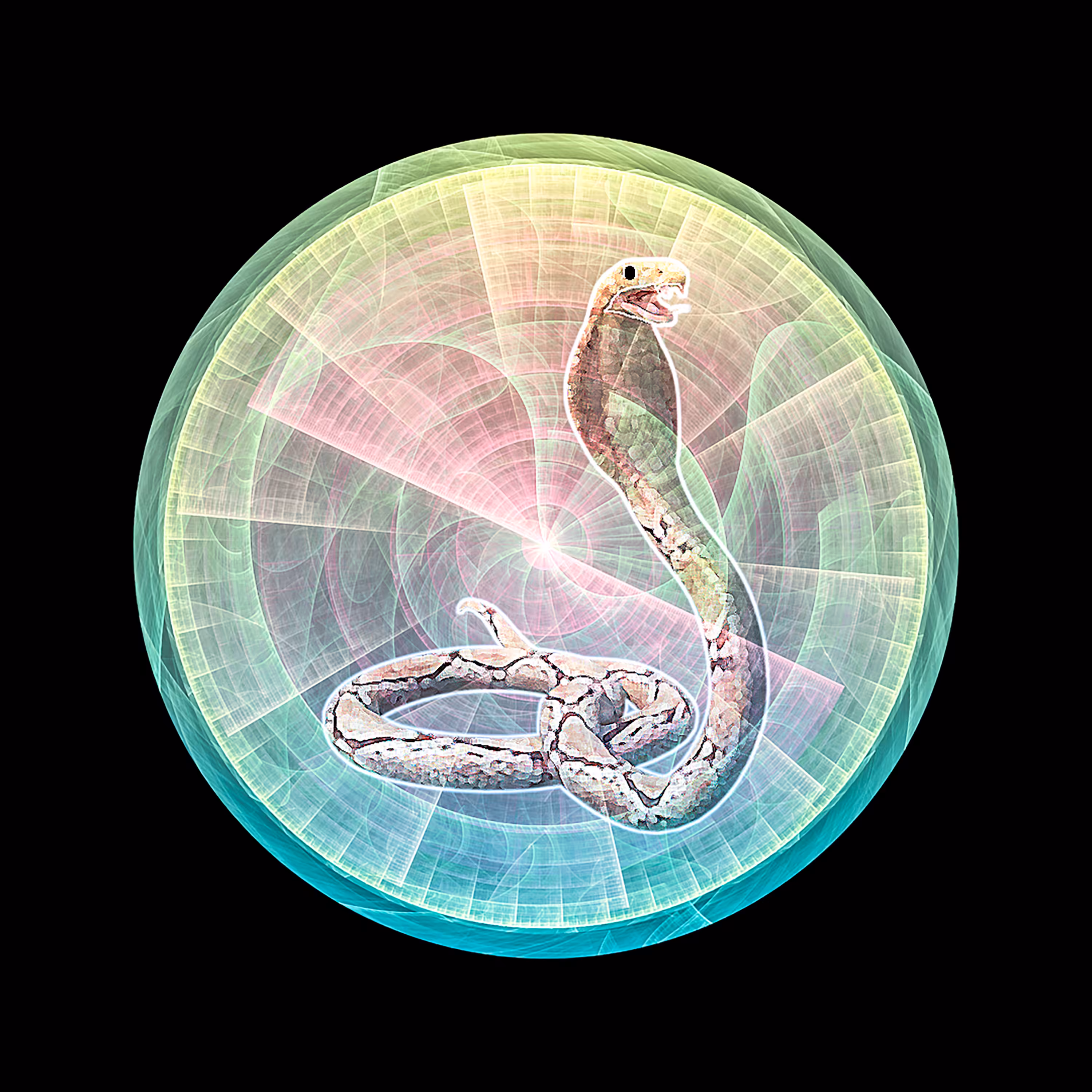 Reinvigorating Cobra, the Charmer