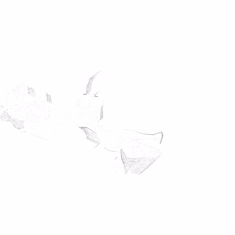 traces #32