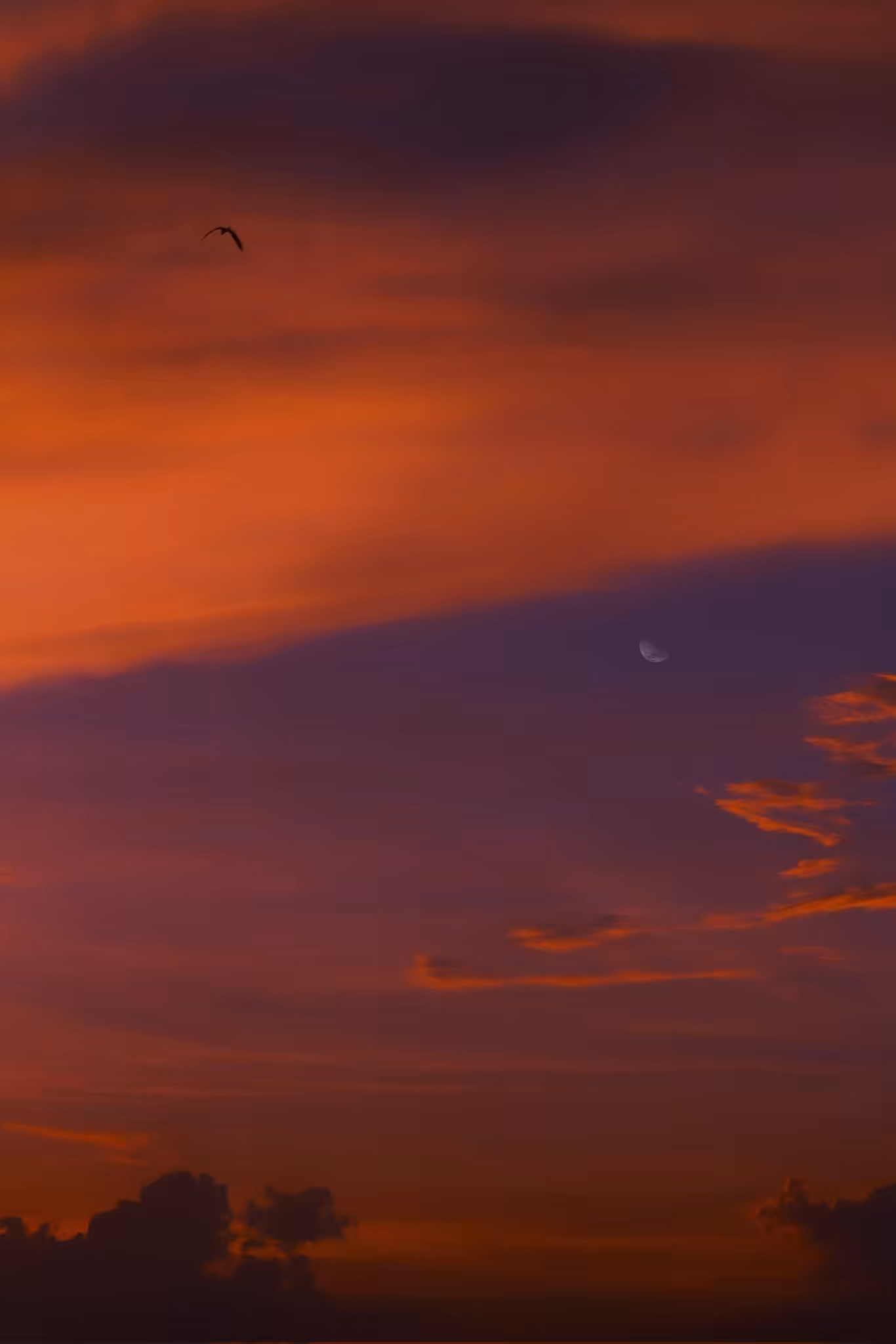 Fire in the sky 2