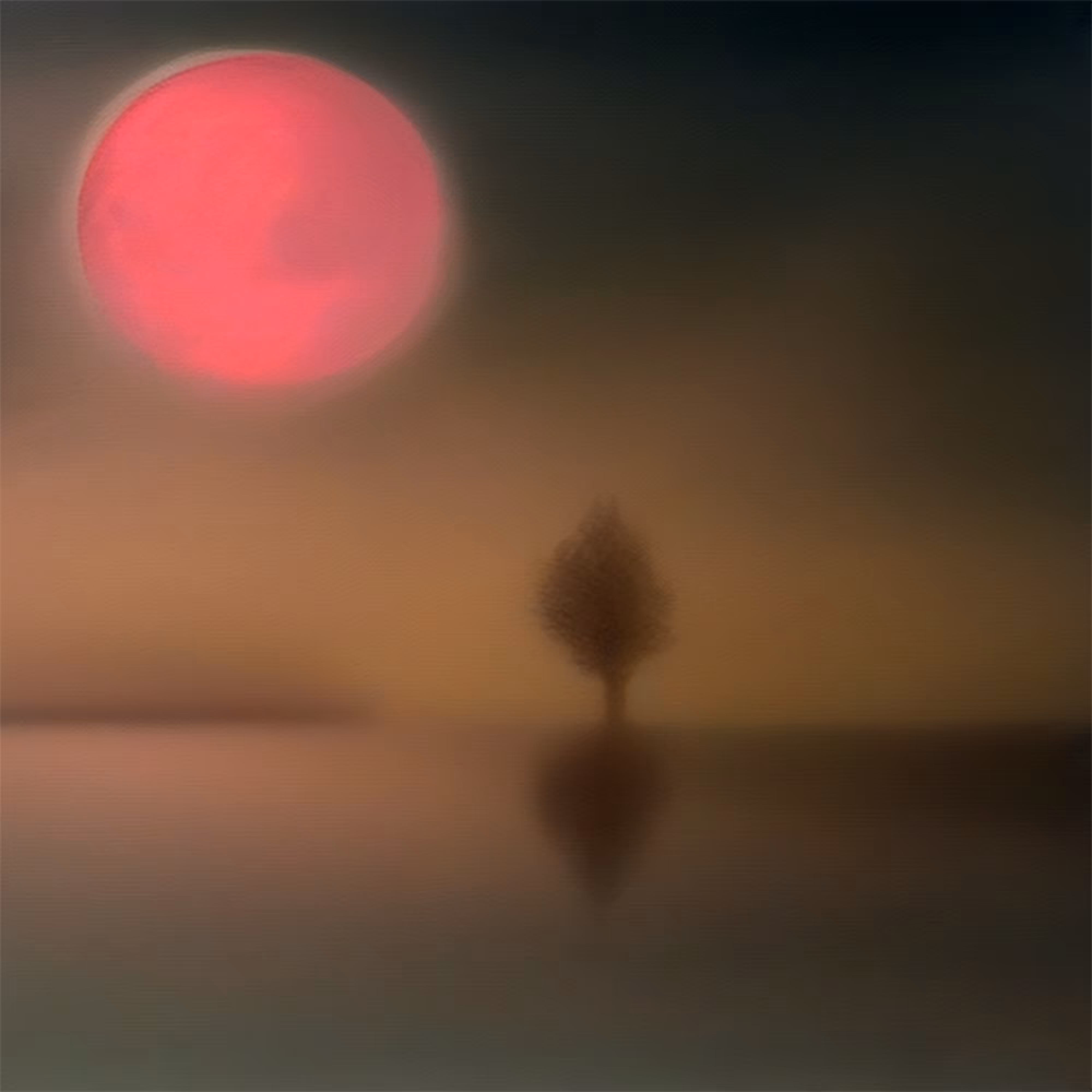 The Tree and The Sun