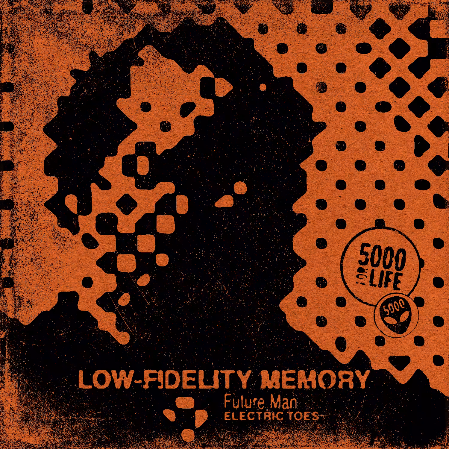 Low Fidelity Memory 