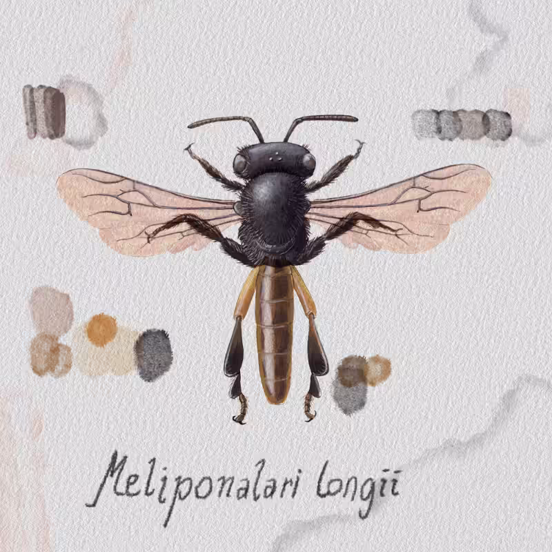 Randomic Brazilian Bees  #40