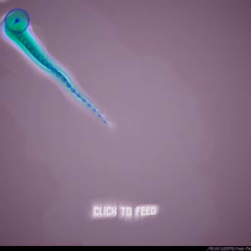 WORMS / Feed Me #19