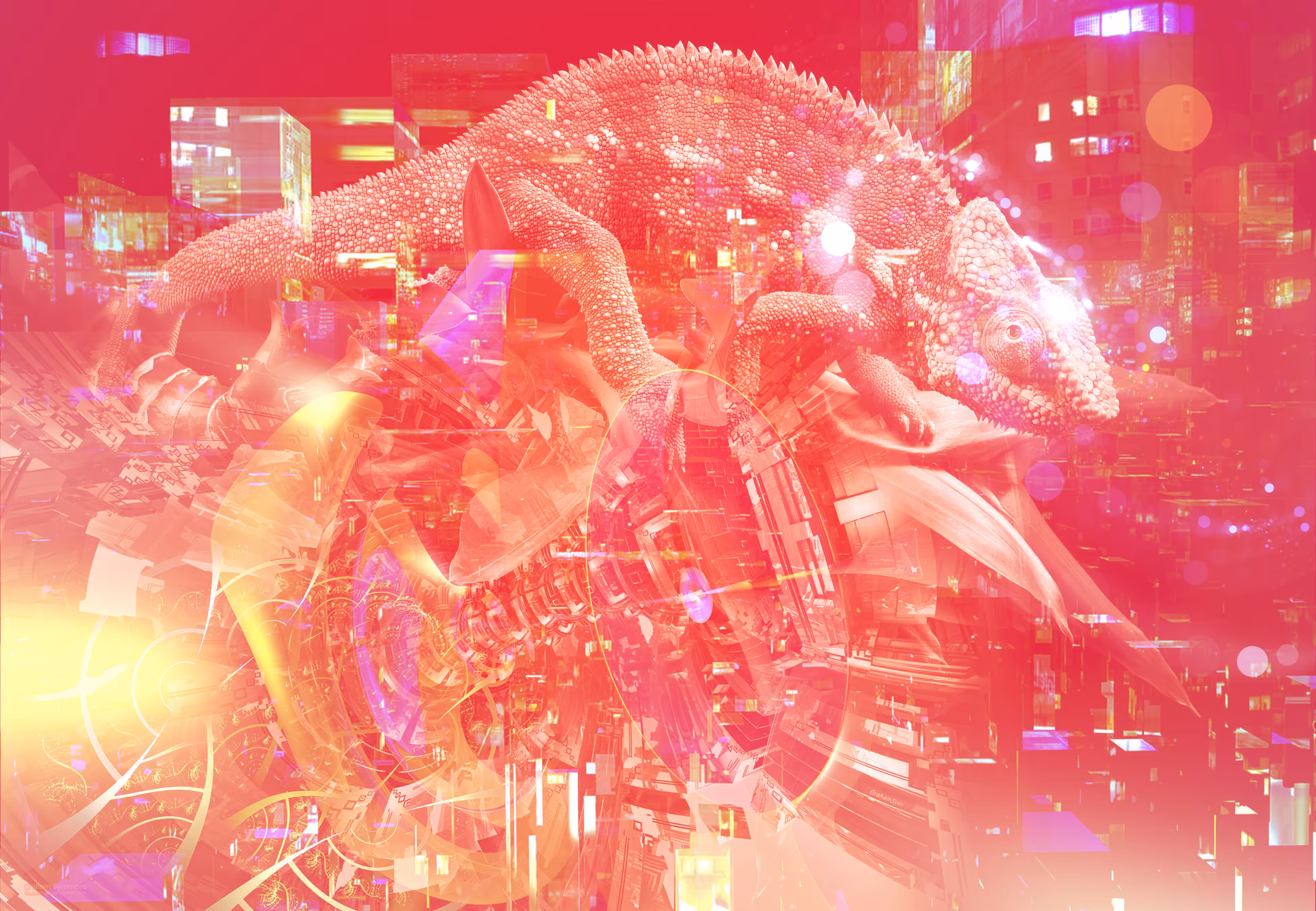 Urban Chameleon