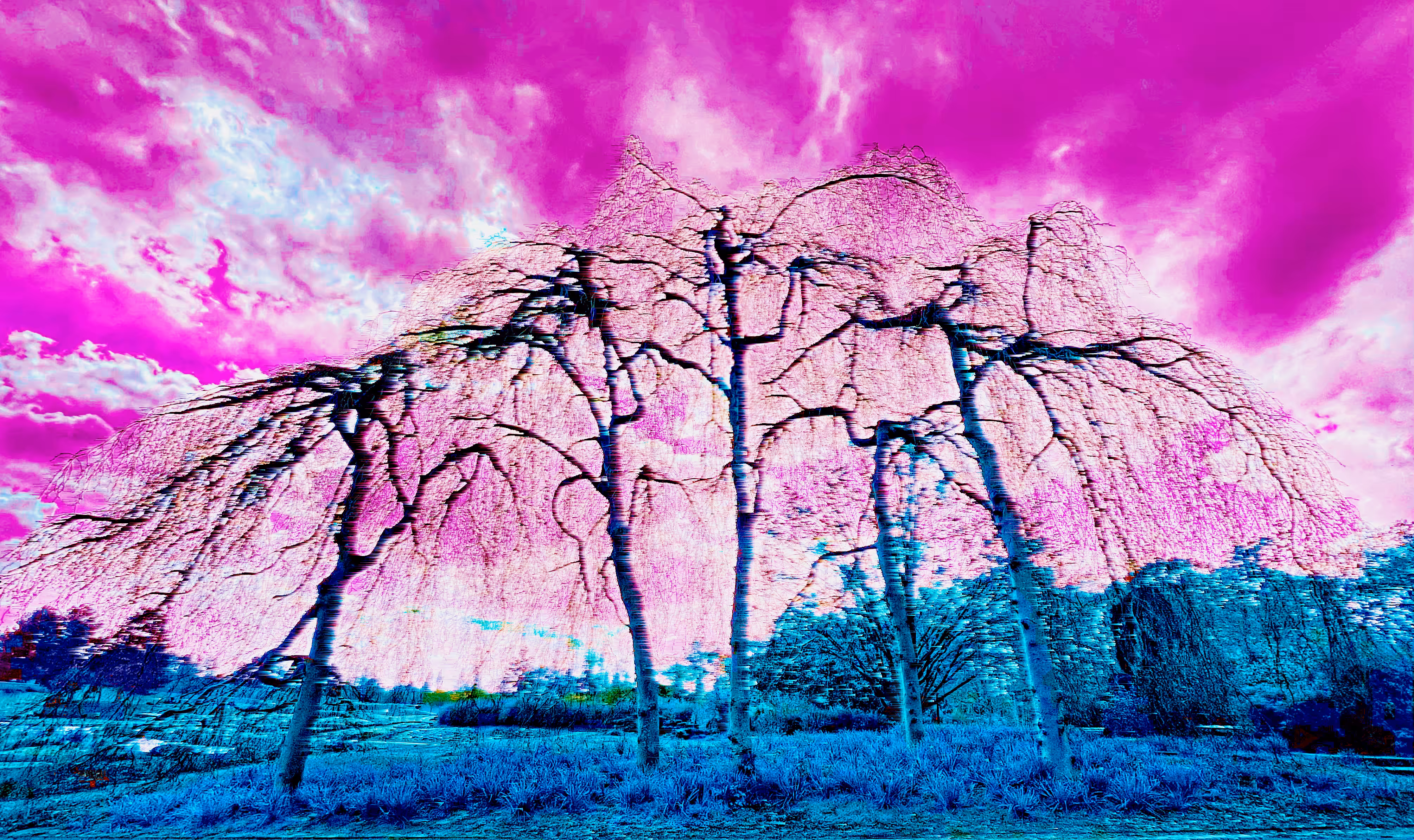 Faerie Trees Are Coming