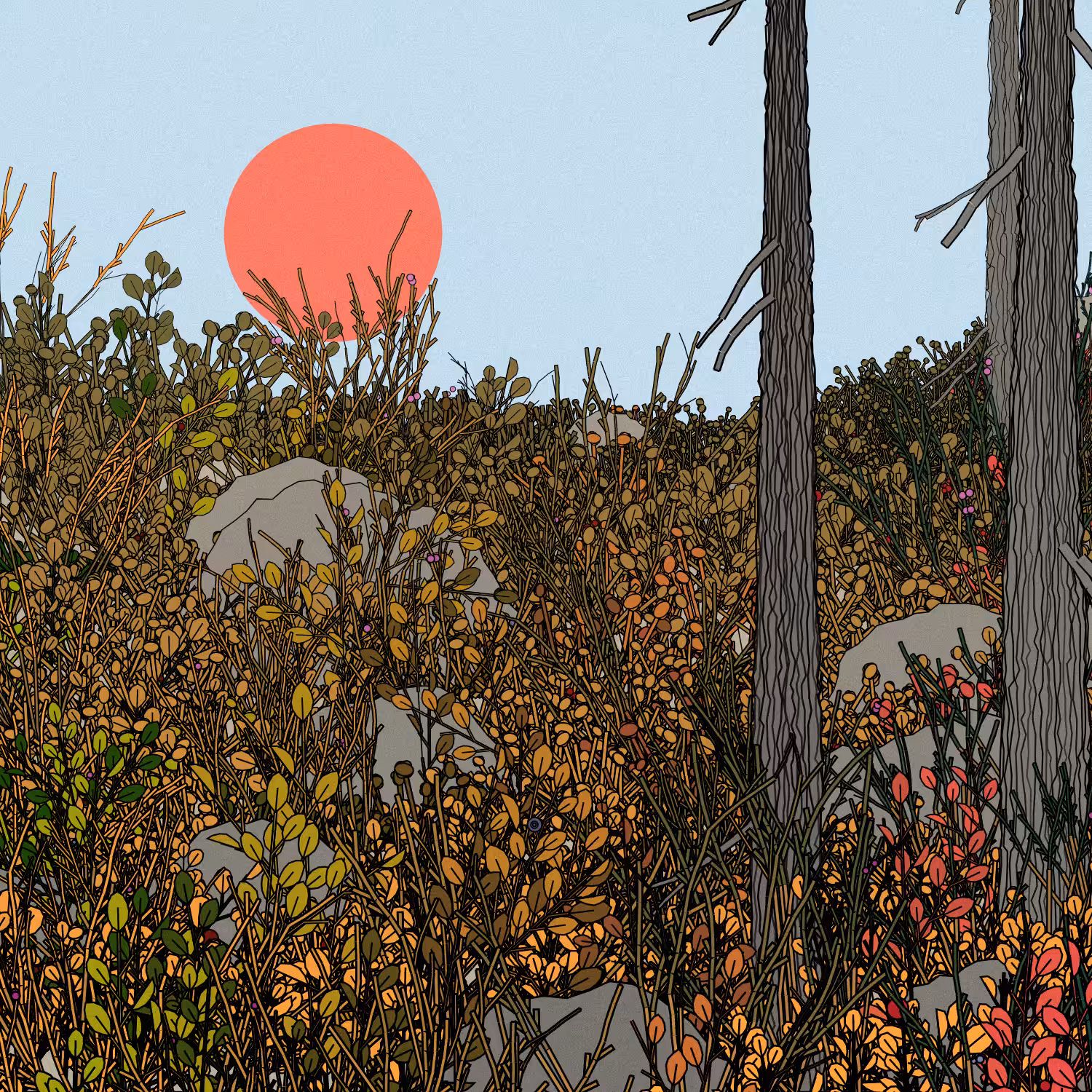 Swedish Forest #183