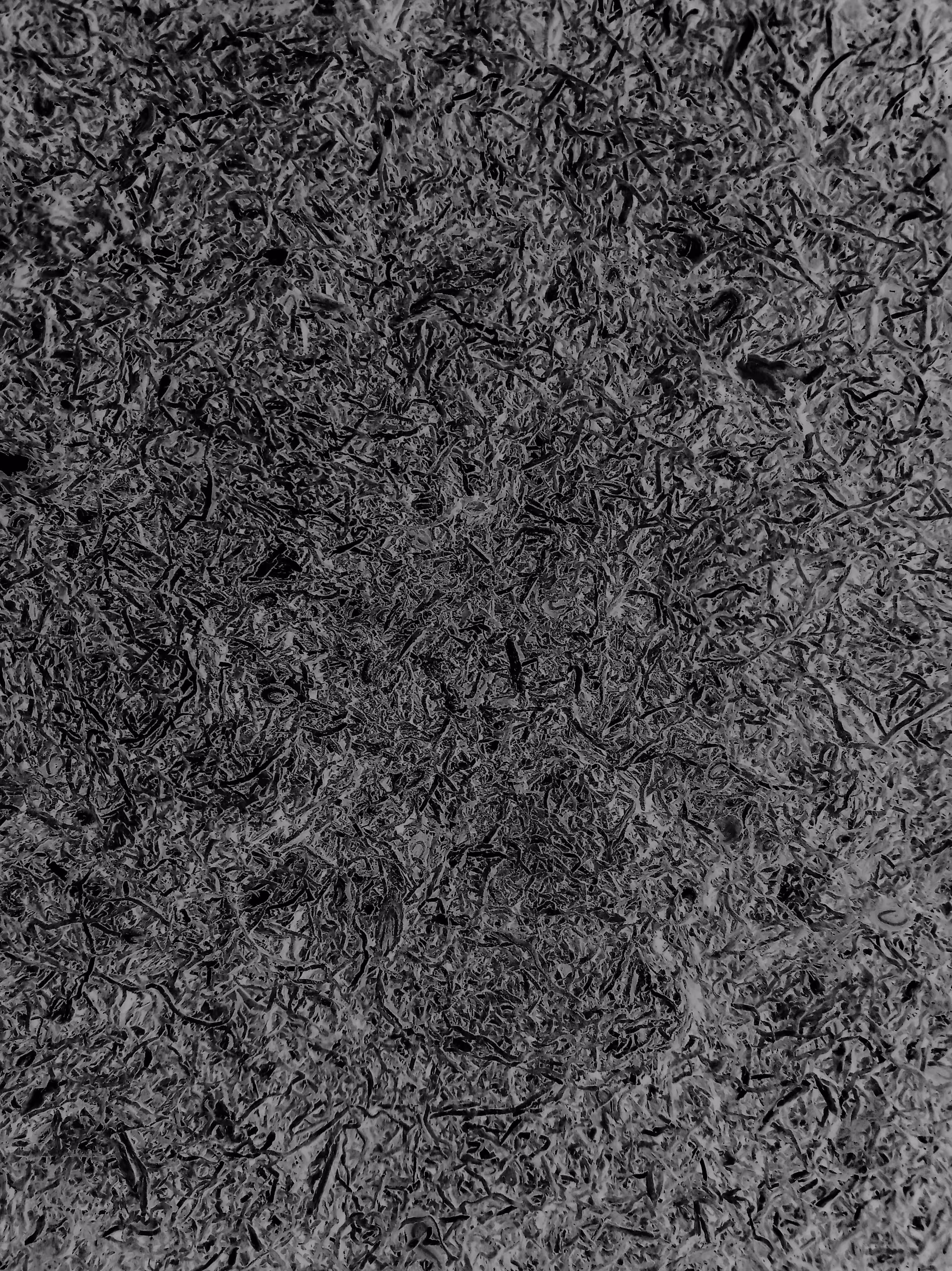 Dark thoughts in a state of hibernation