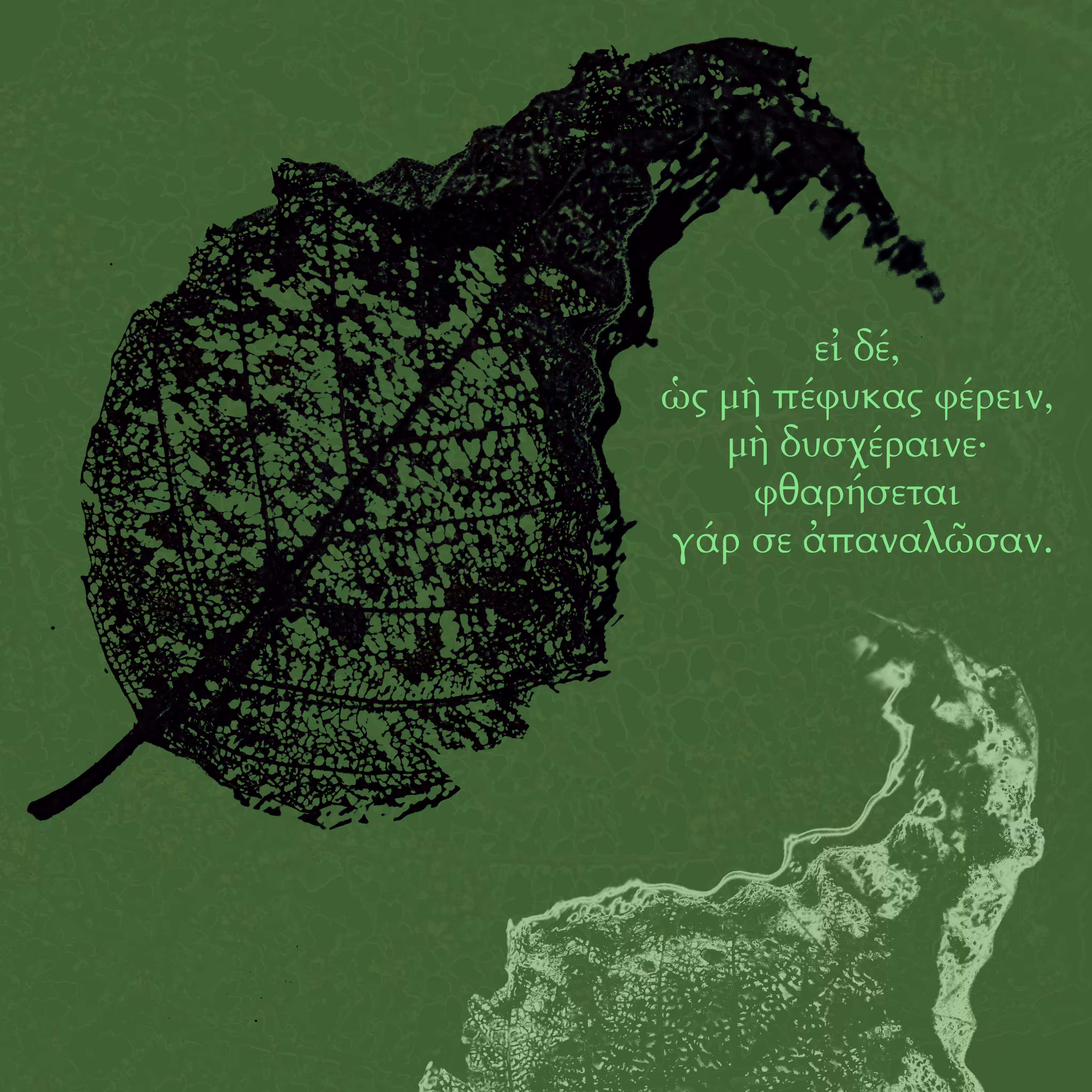 Decaying Fŏlĭum - 03