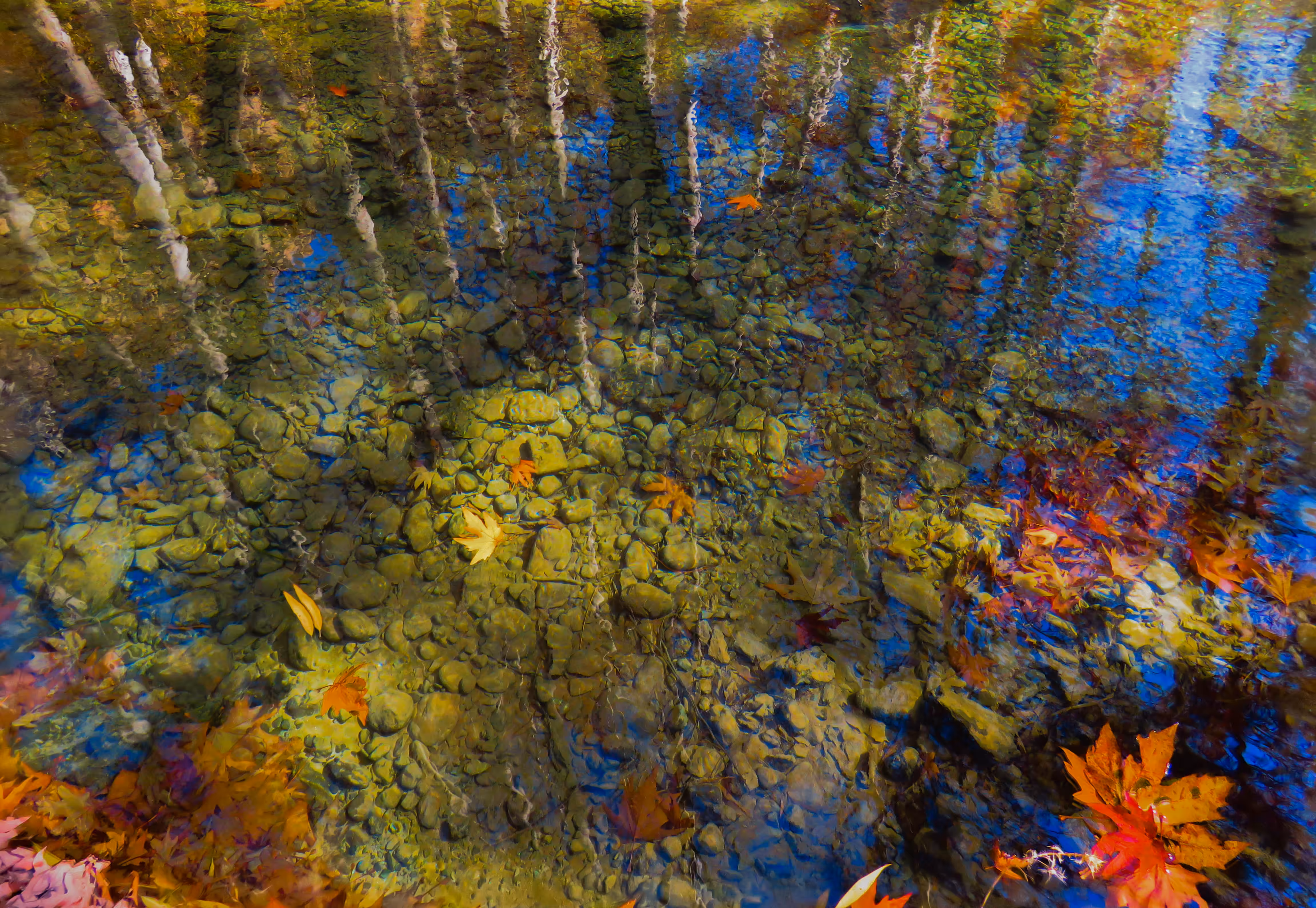 The miracle of color