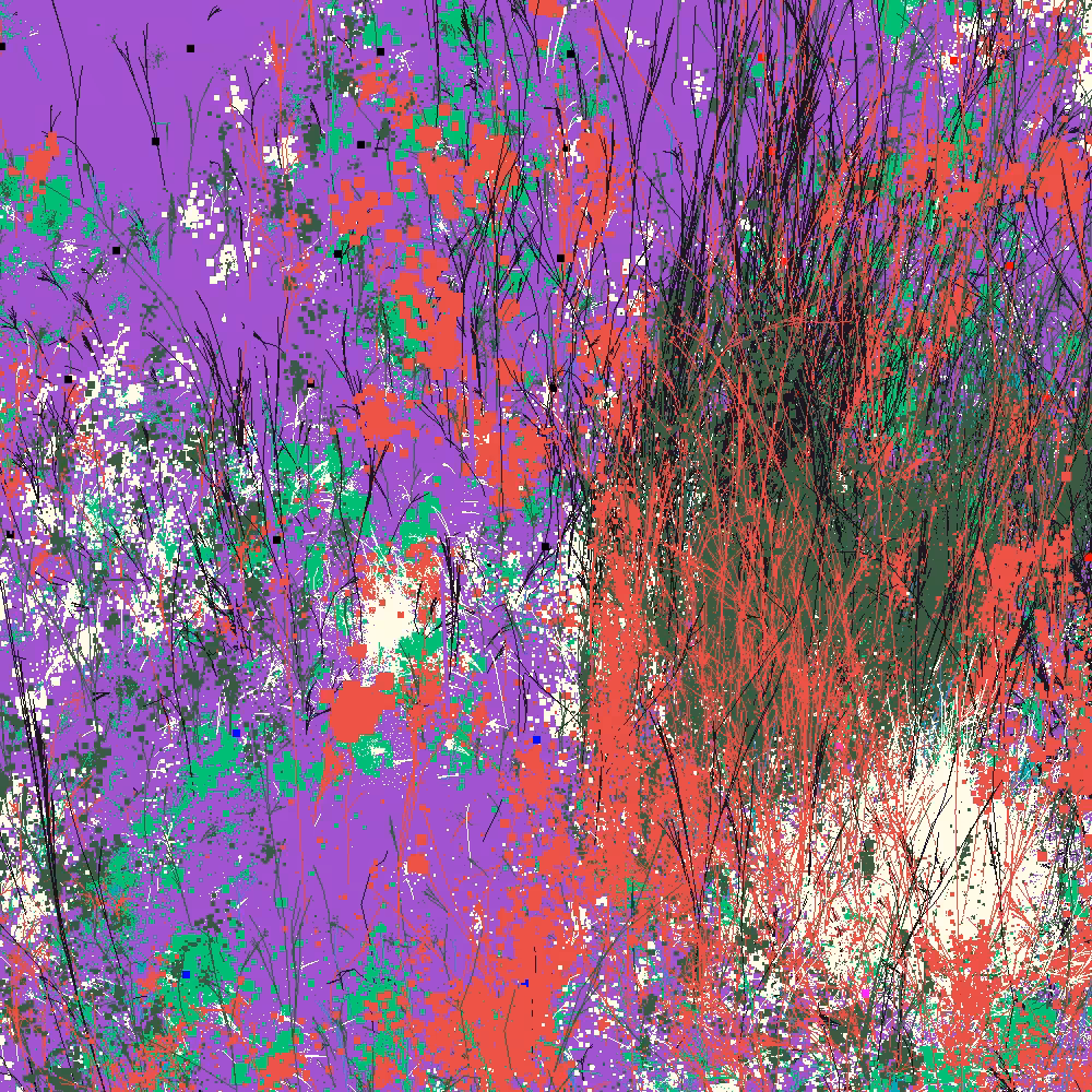 Infinite Garden: 45534 Flowers
