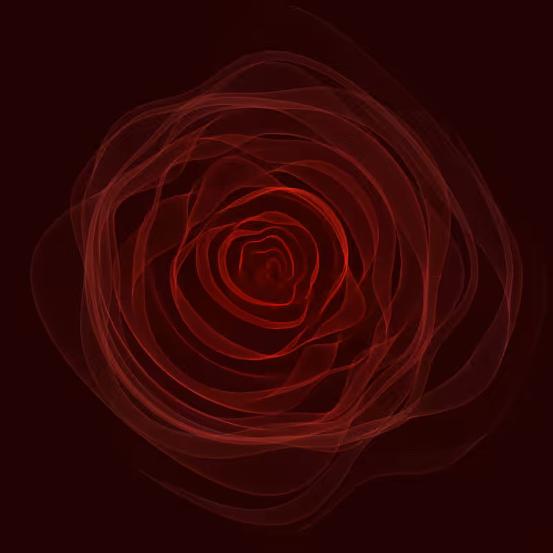 Roses #20