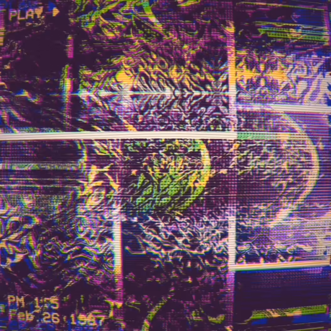 ◦ VAPORPLATE #11 ◦