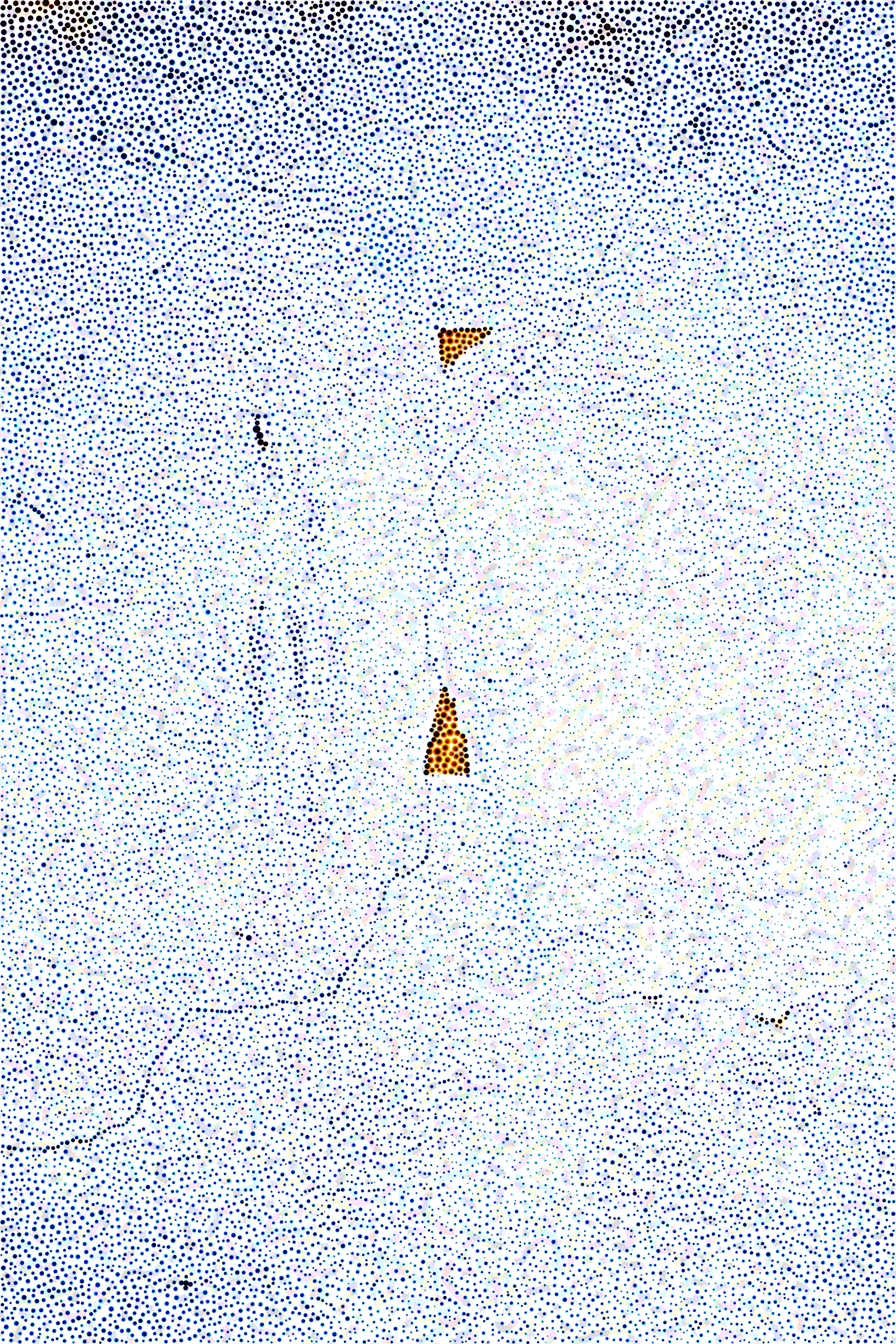 V/PT-01-11 (Lucca, Italy)