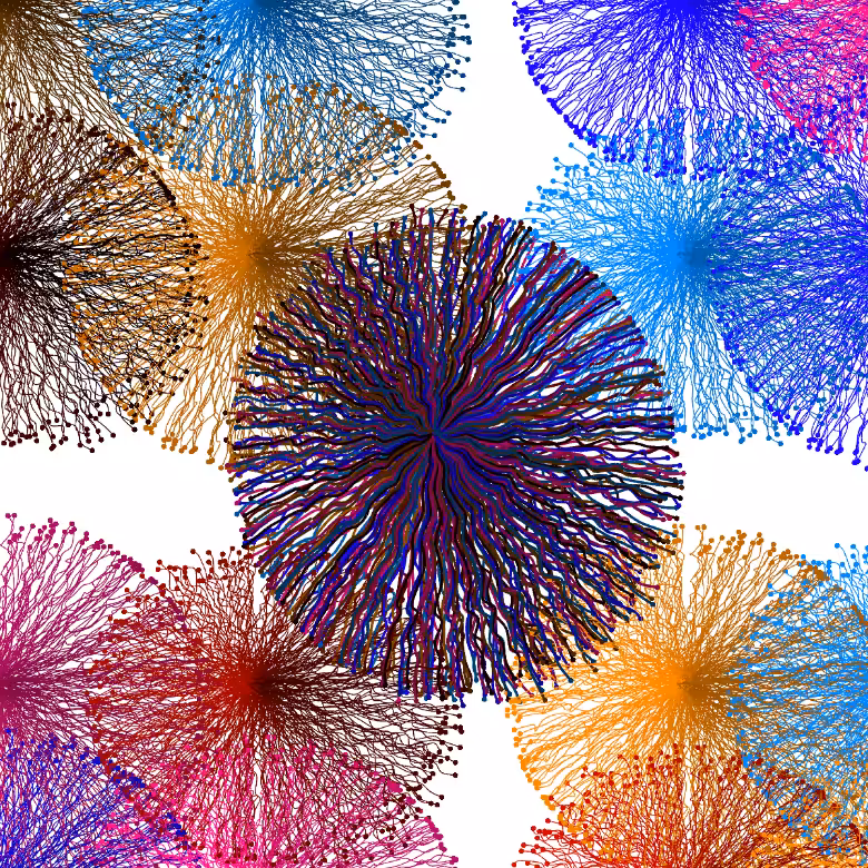 CircuWeb #19