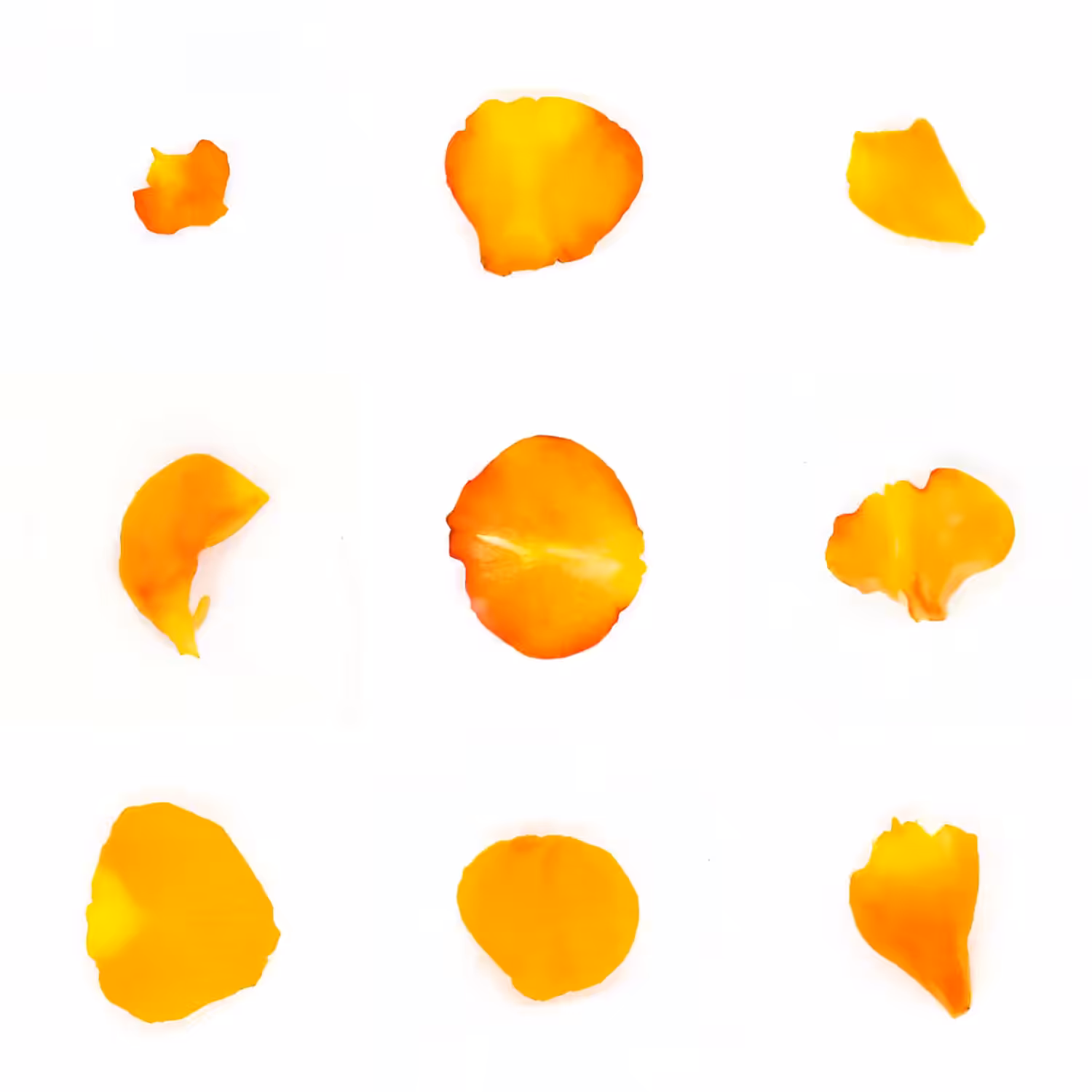 Infinite Petals 3x3#4193