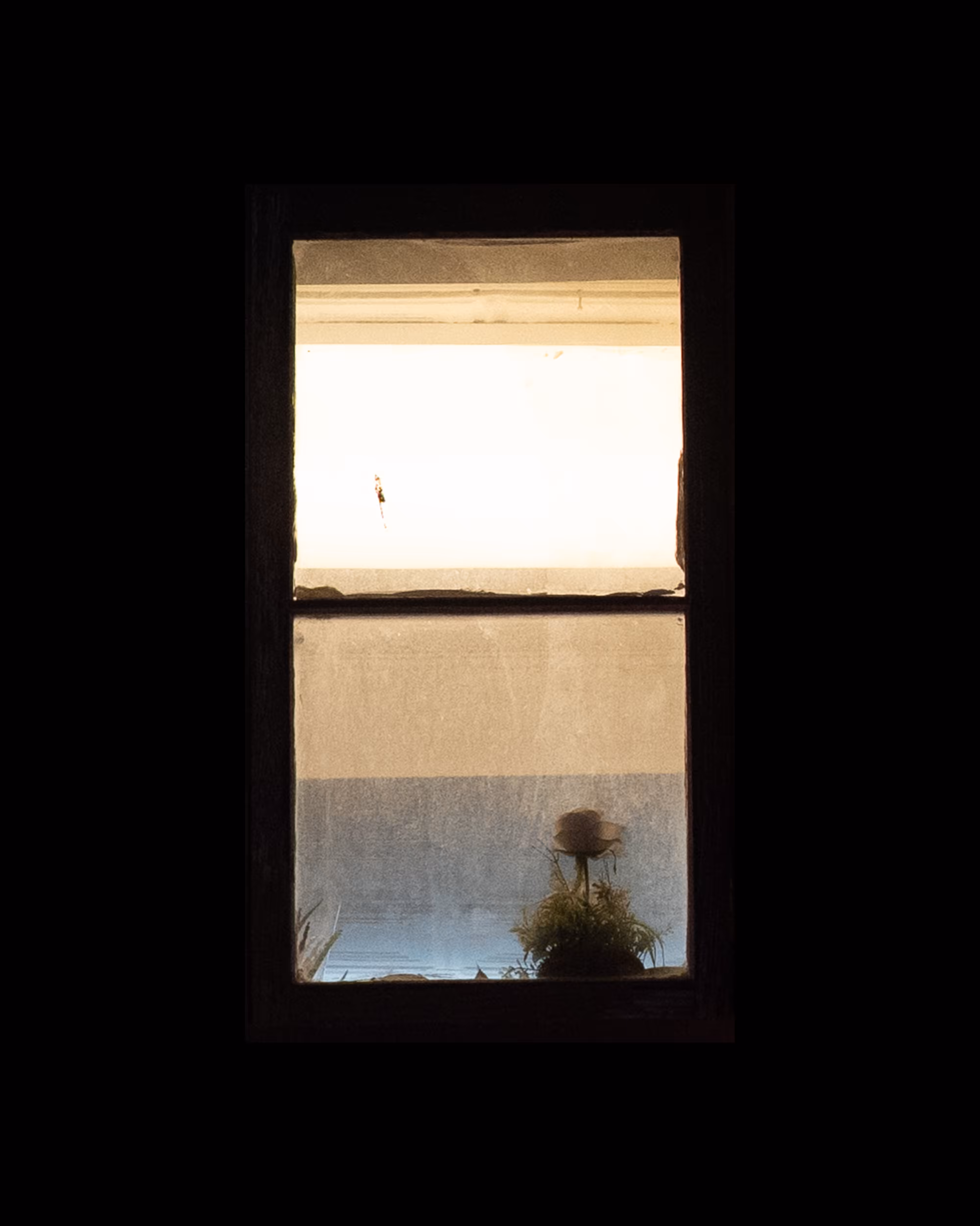 WINDOWS // NYC: WINDOW 780