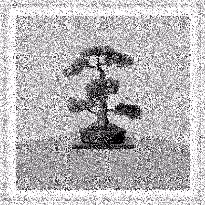 Bonsai Bonanza #423