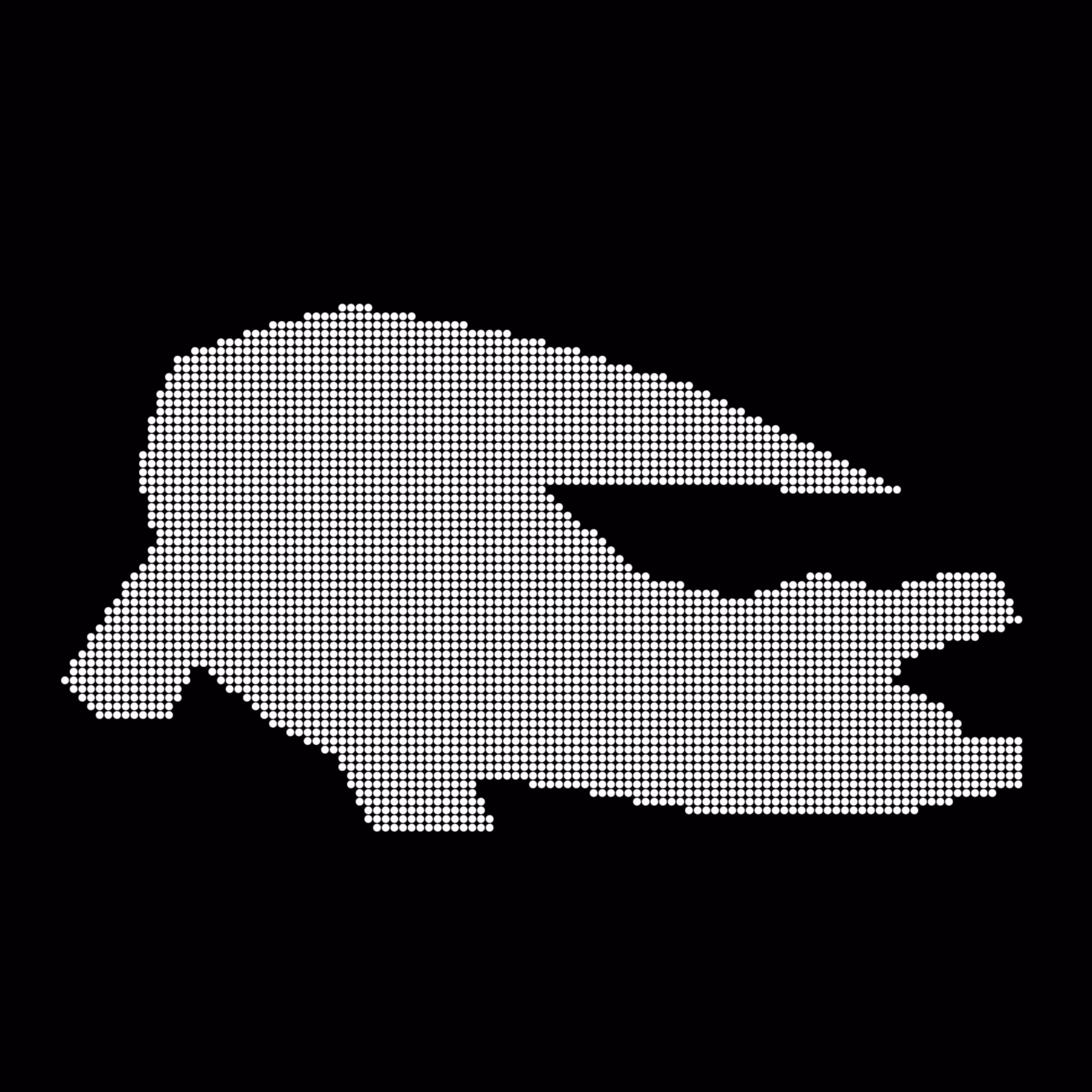 Crocodile 1