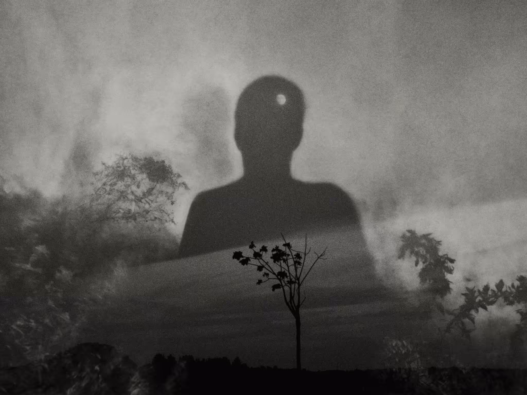 Umbra Solis